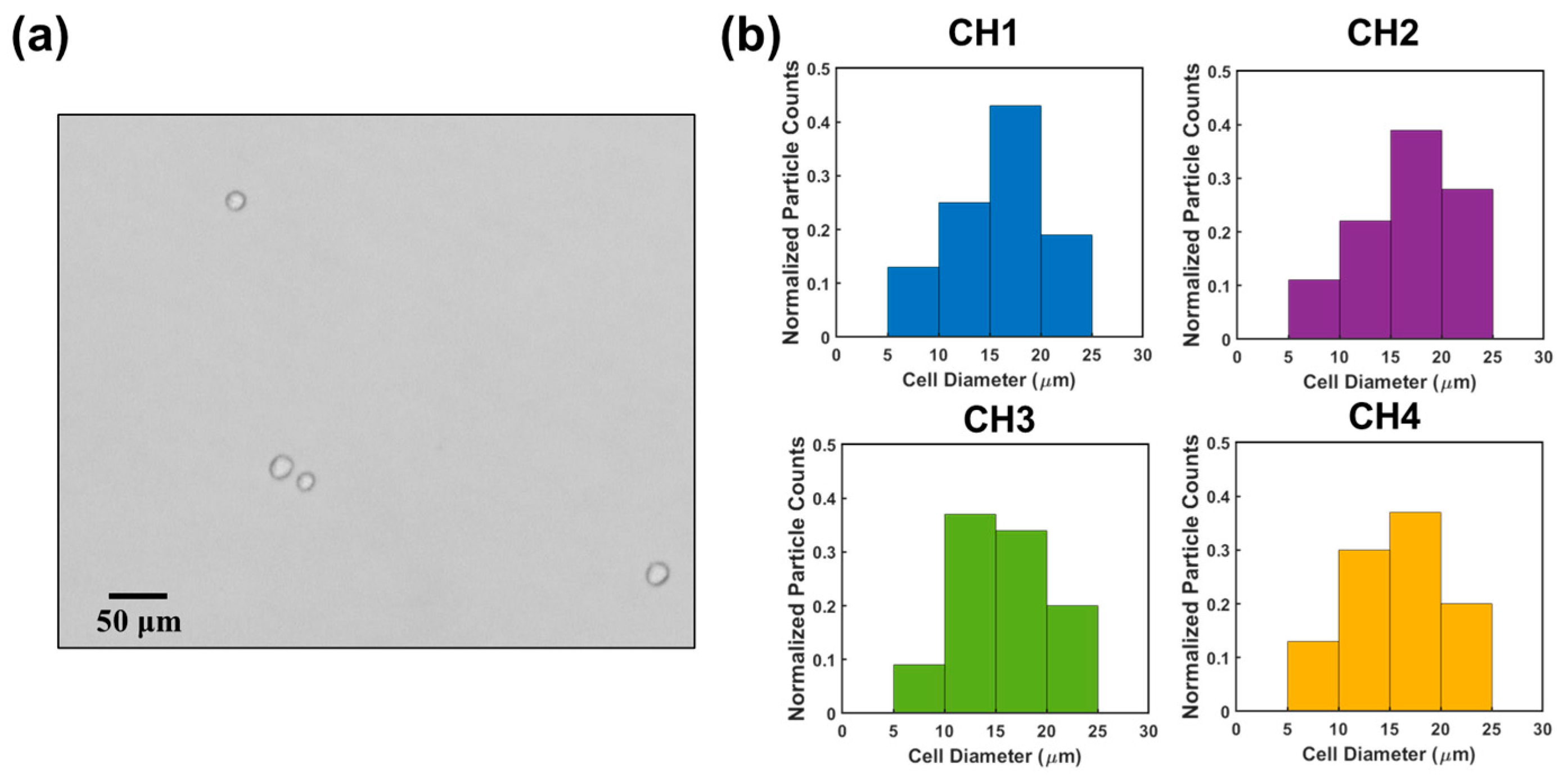 Biosensors 13 00721 g007