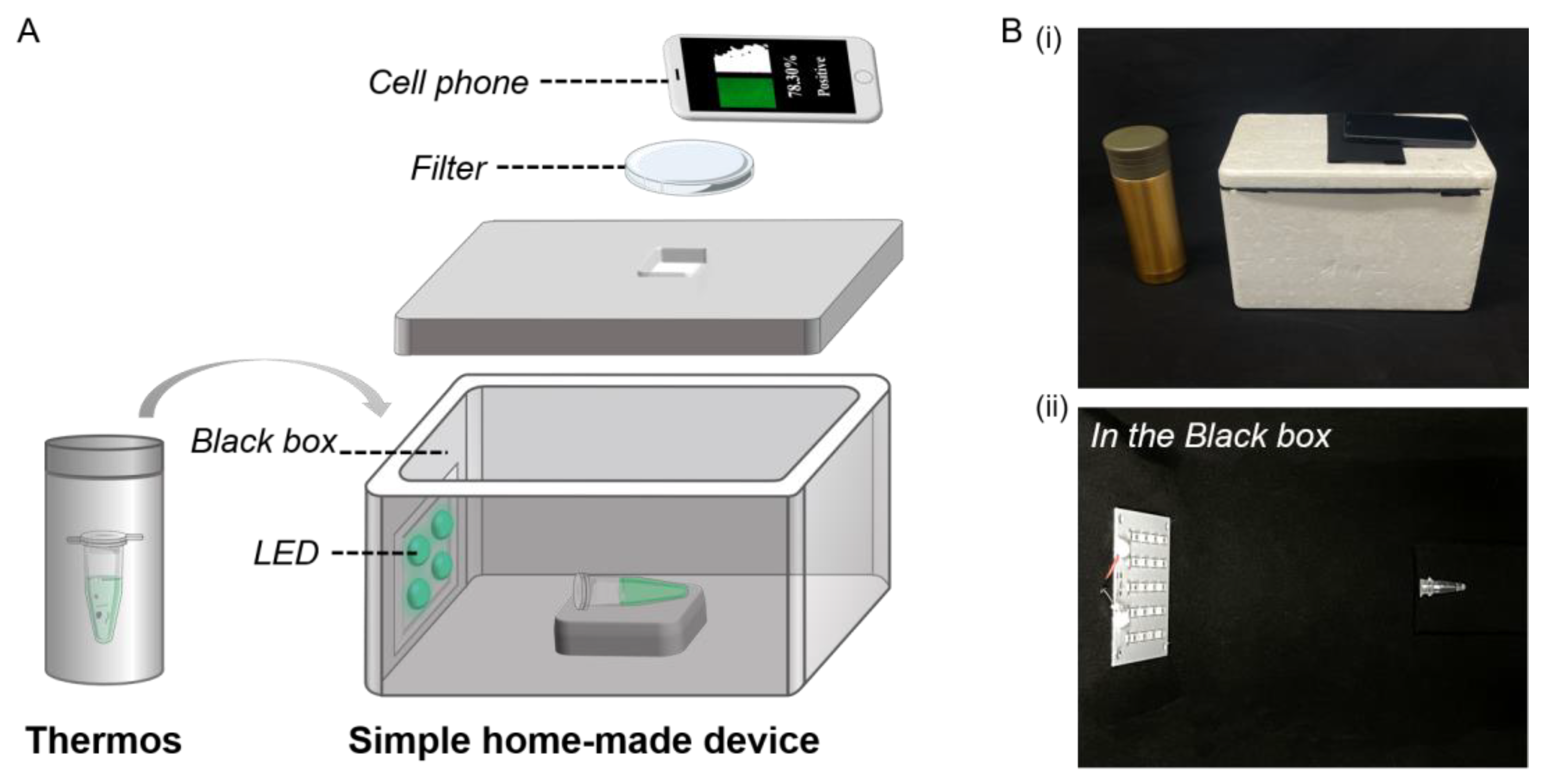 Biosensors 13 00724 g004