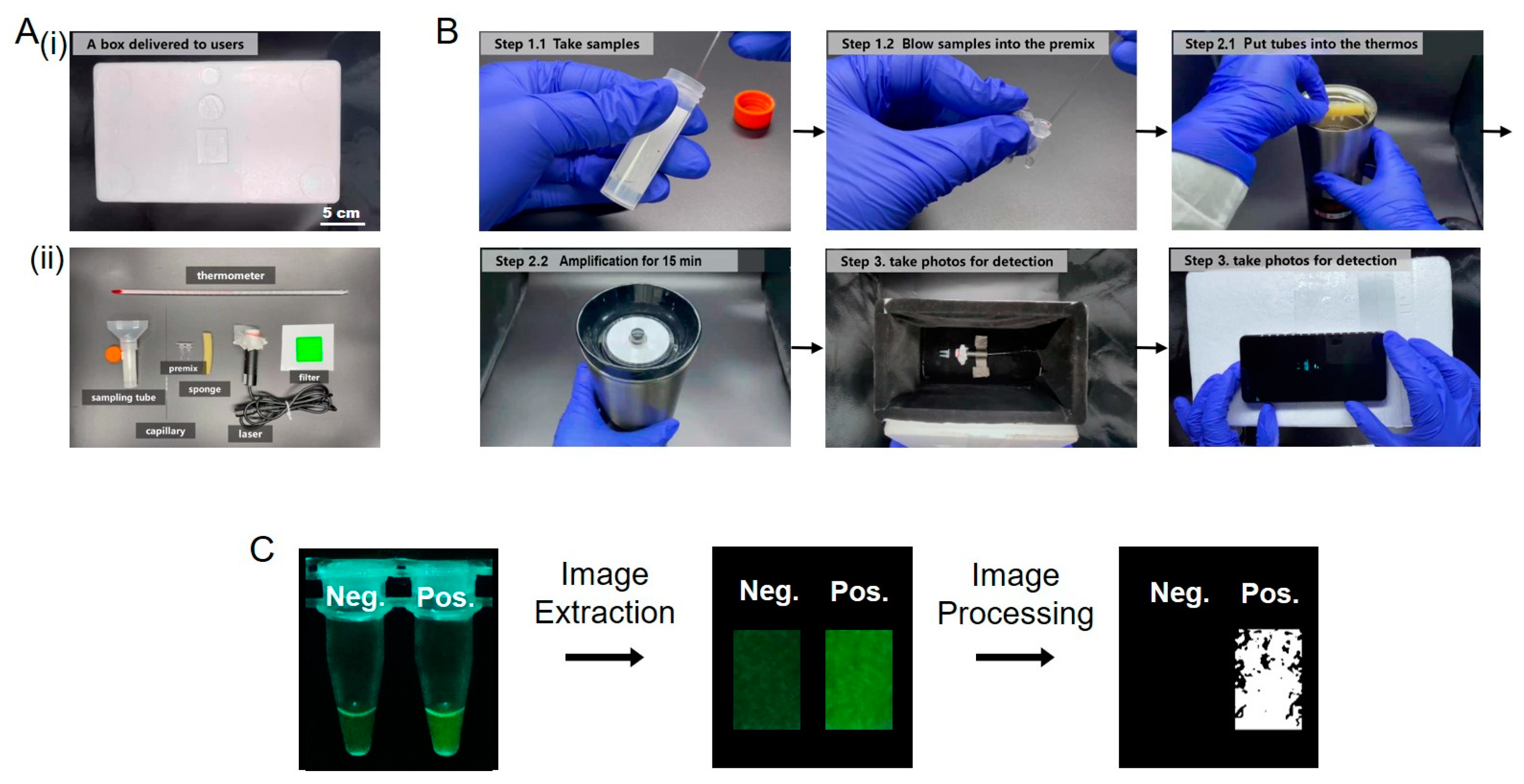 Biosensors 13 00724 g005