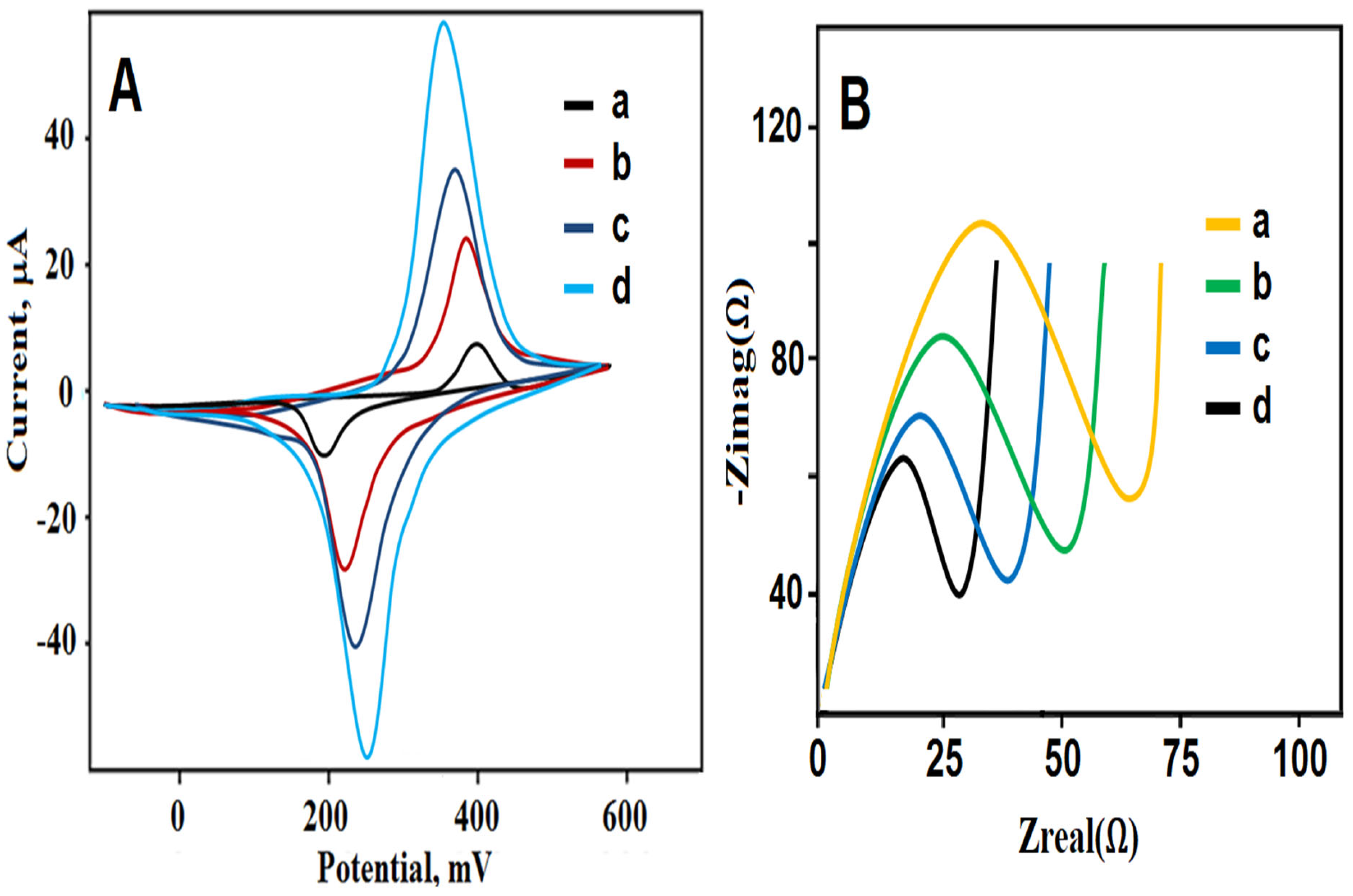 Biosensors 13 00725 g006
