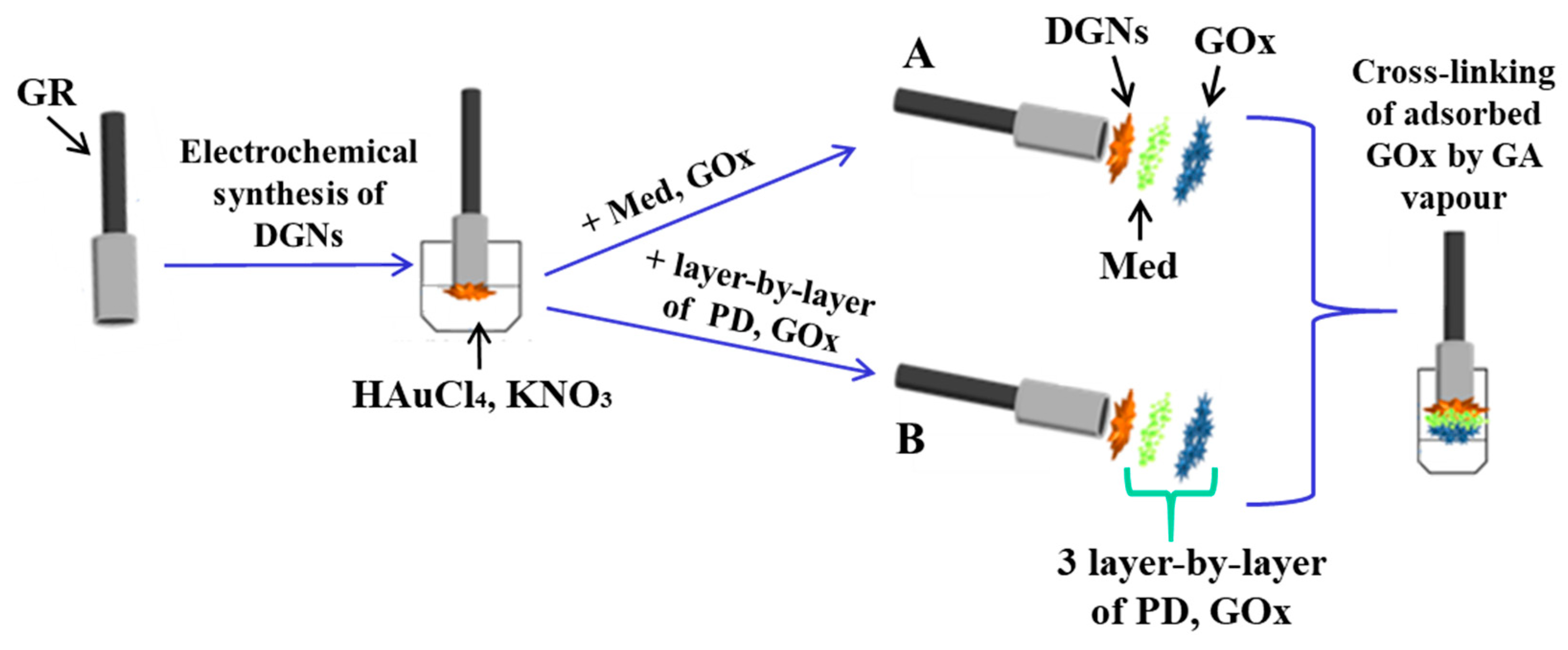 Biosensors 13 00727 g001