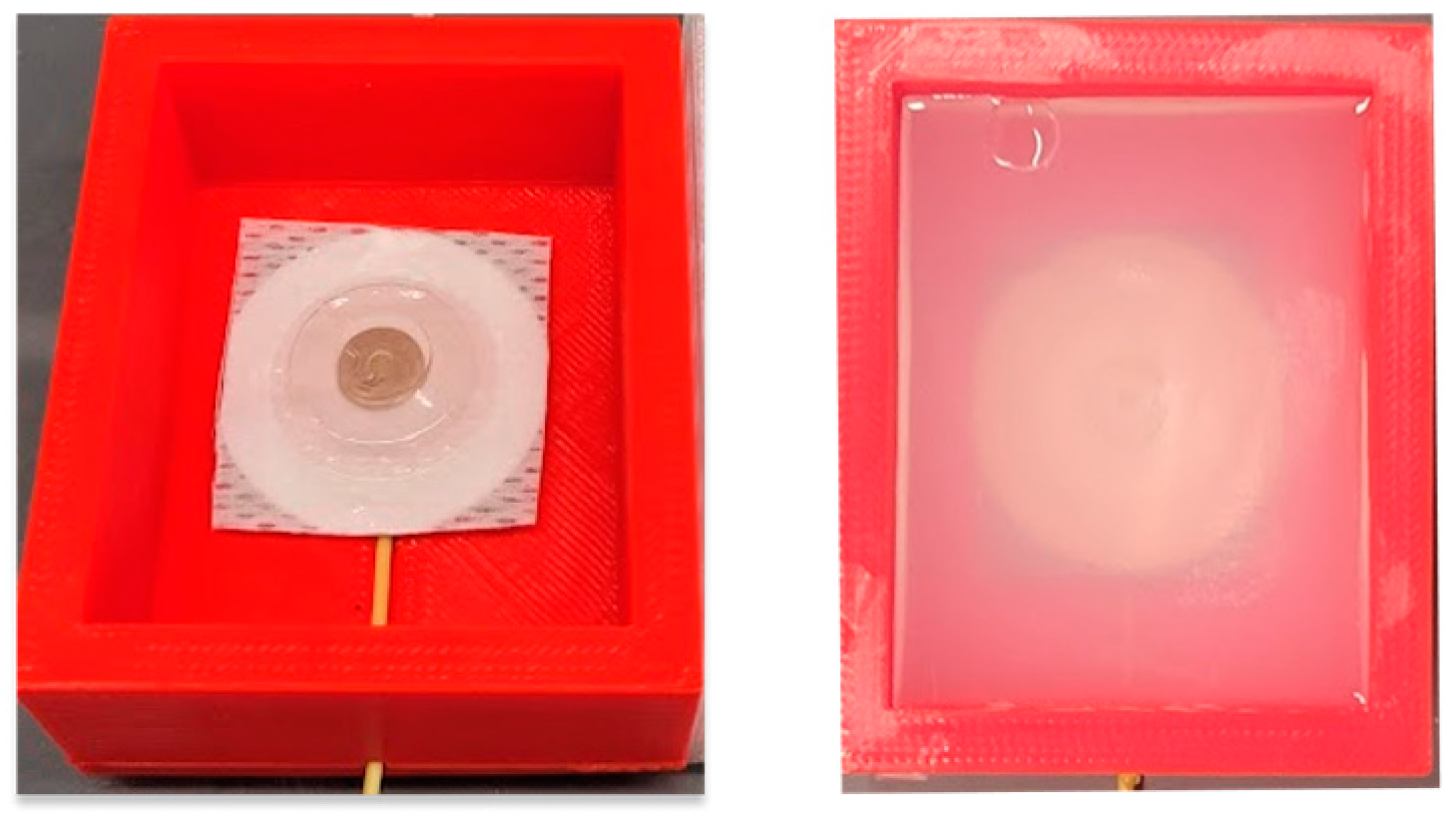 Biosensors 13 00728 g007