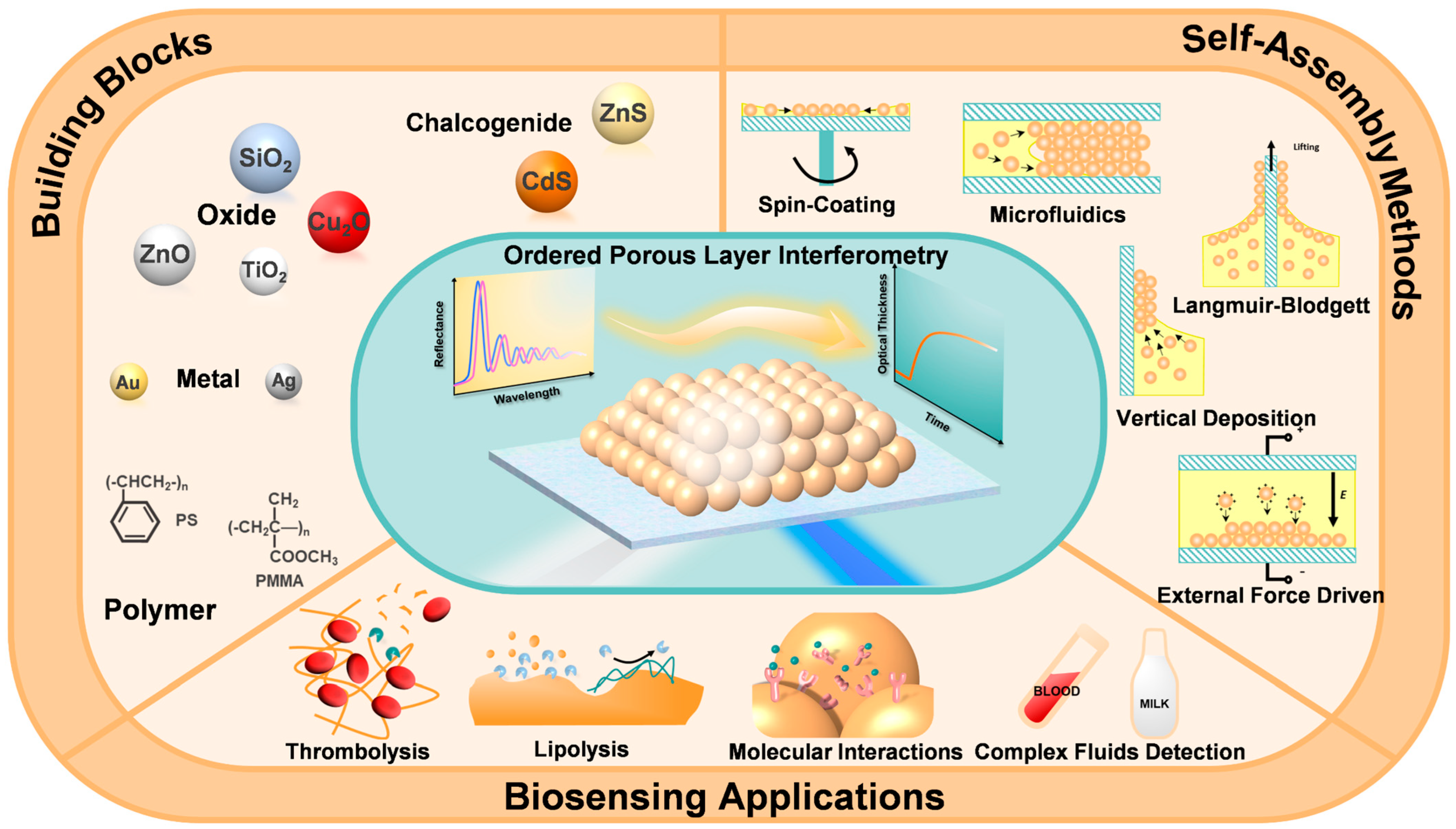 Biosensors 13 00730 g001