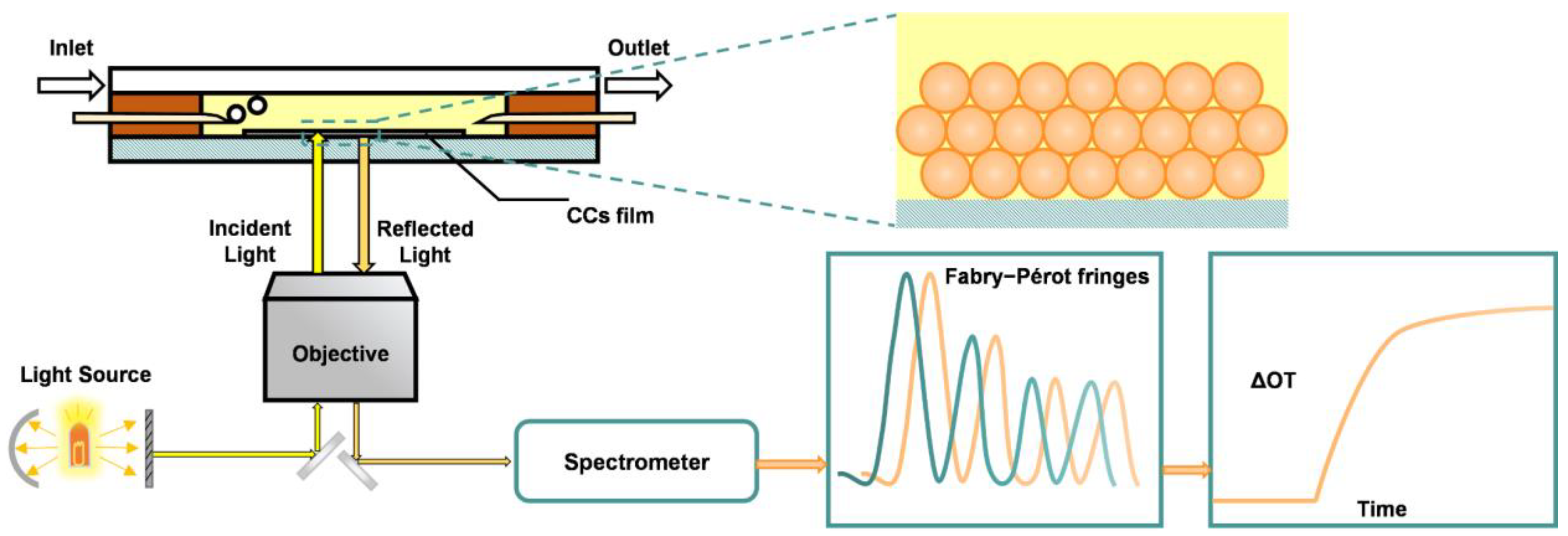 Biosensors 13 00730 g004