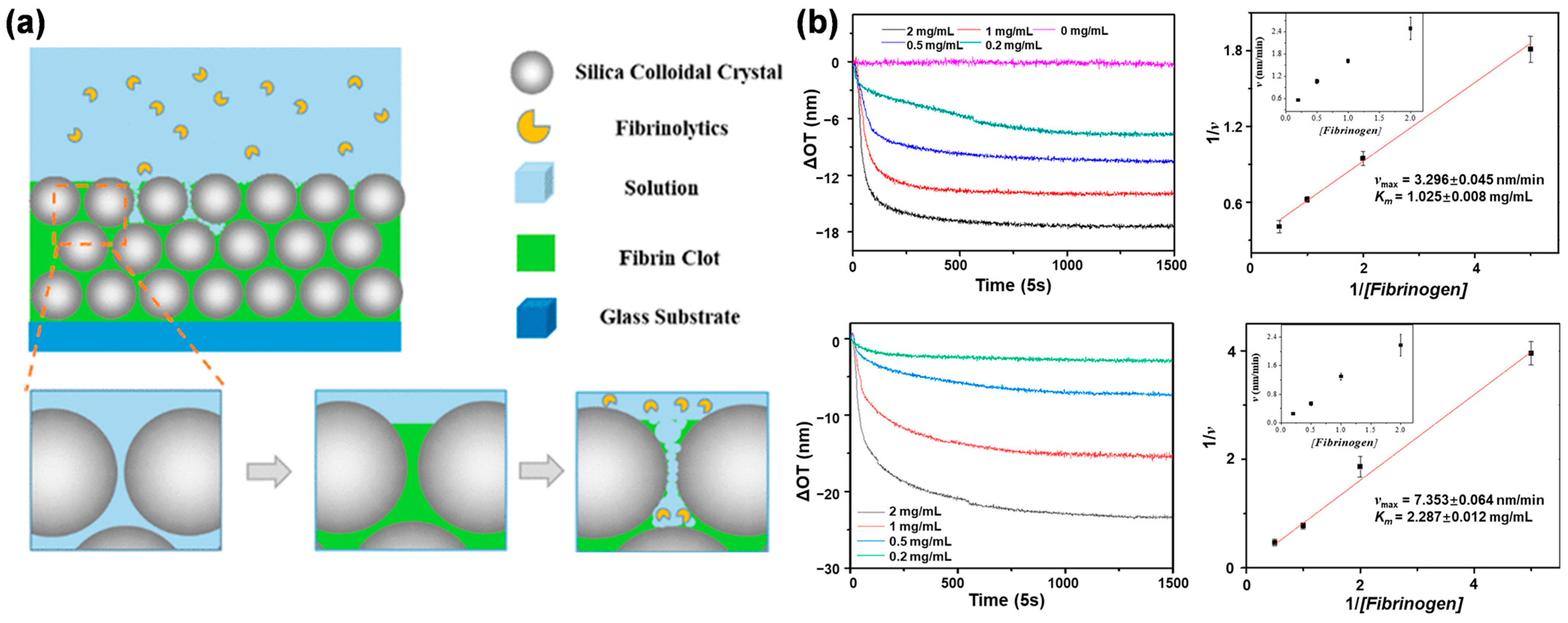 Biosensors 13 00730 g005