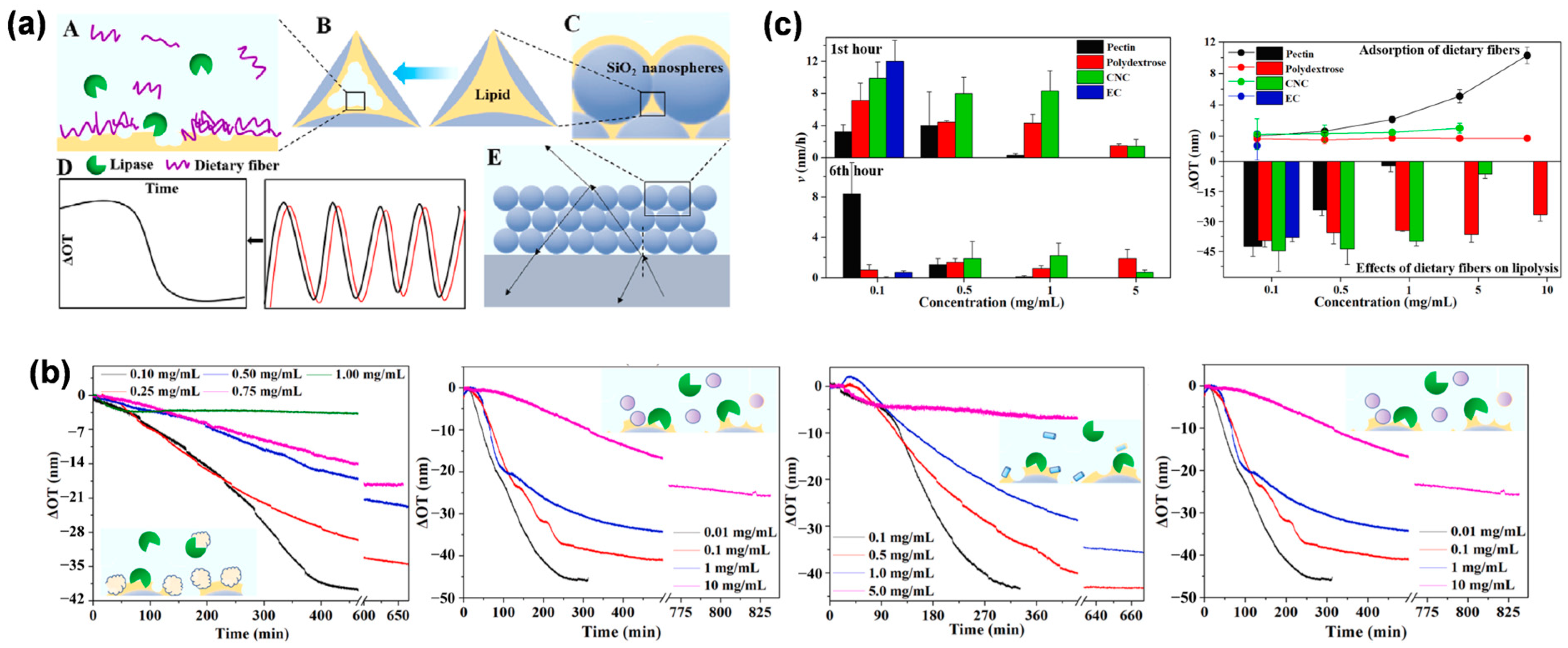 Biosensors 13 00730 g006