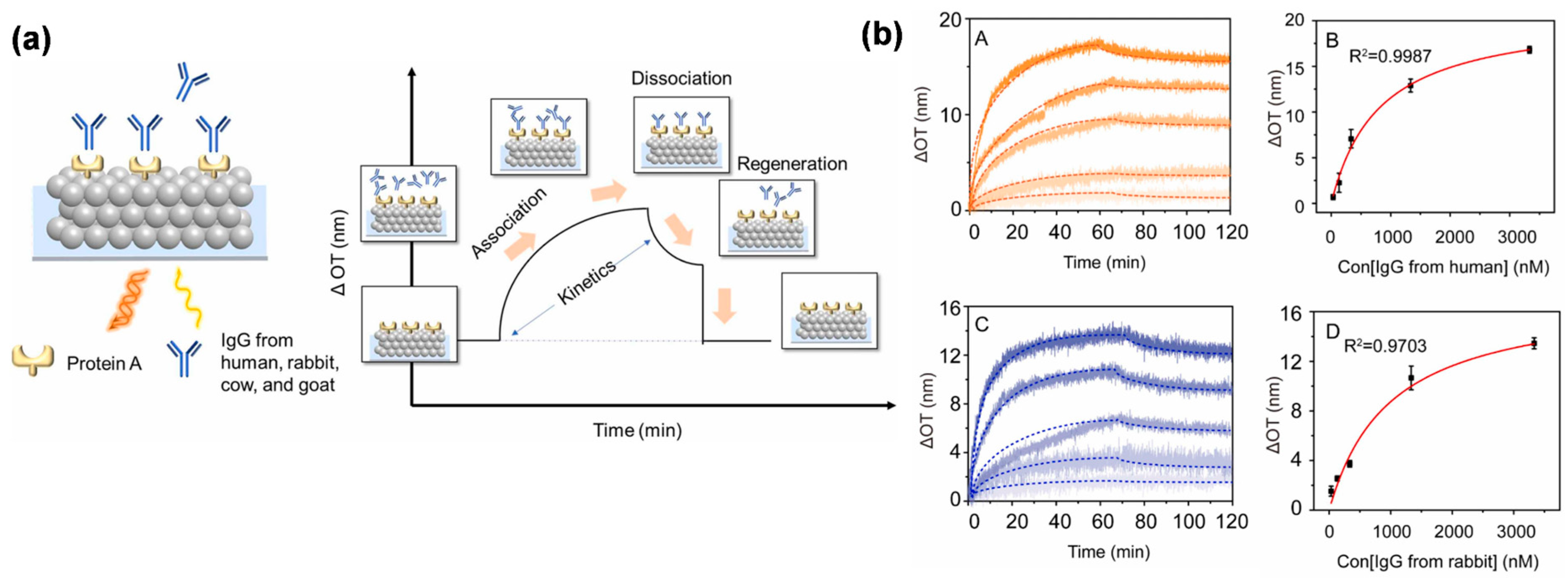 Biosensors 13 00730 g007