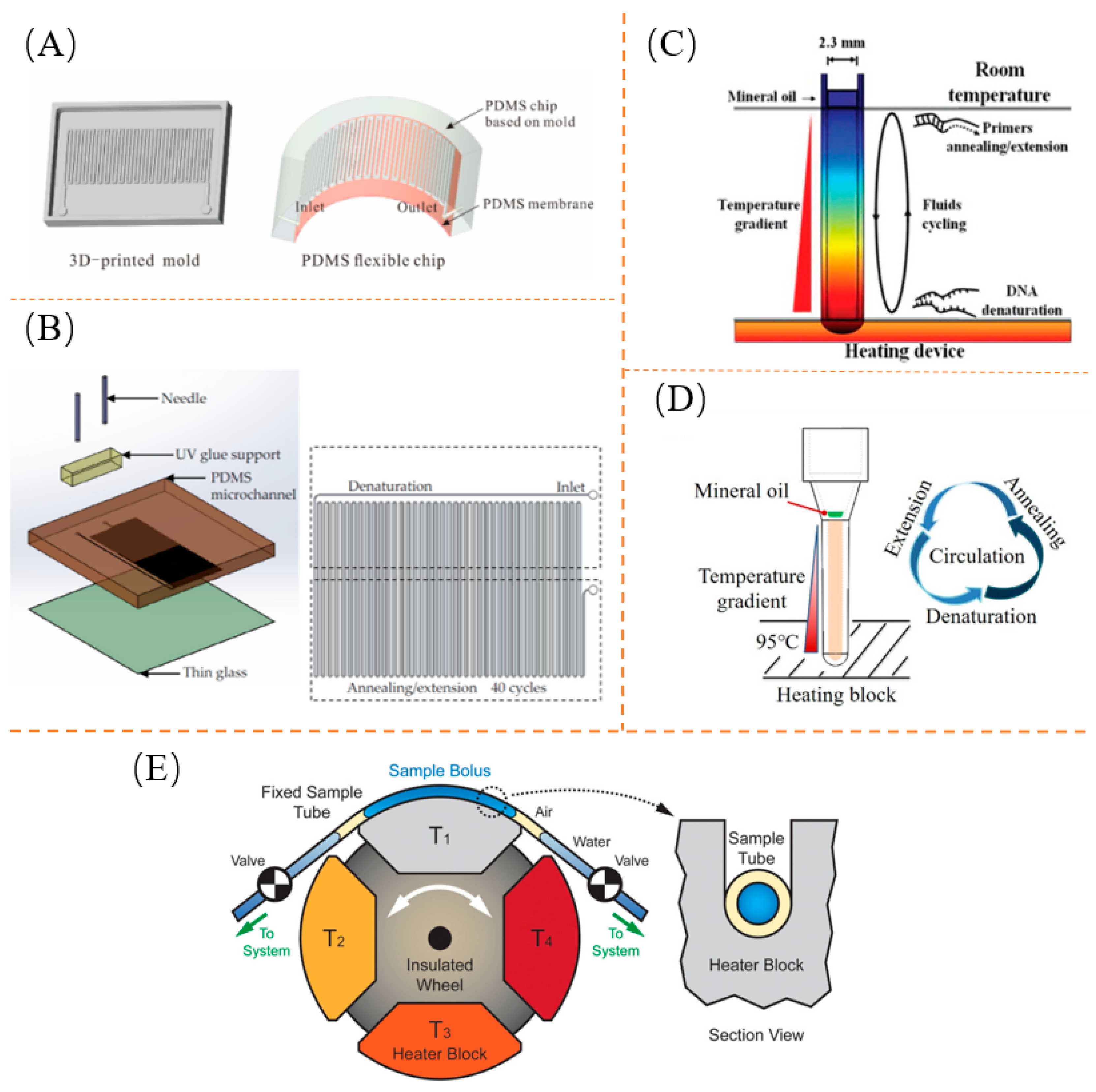 Biosensors 13 00732 g002