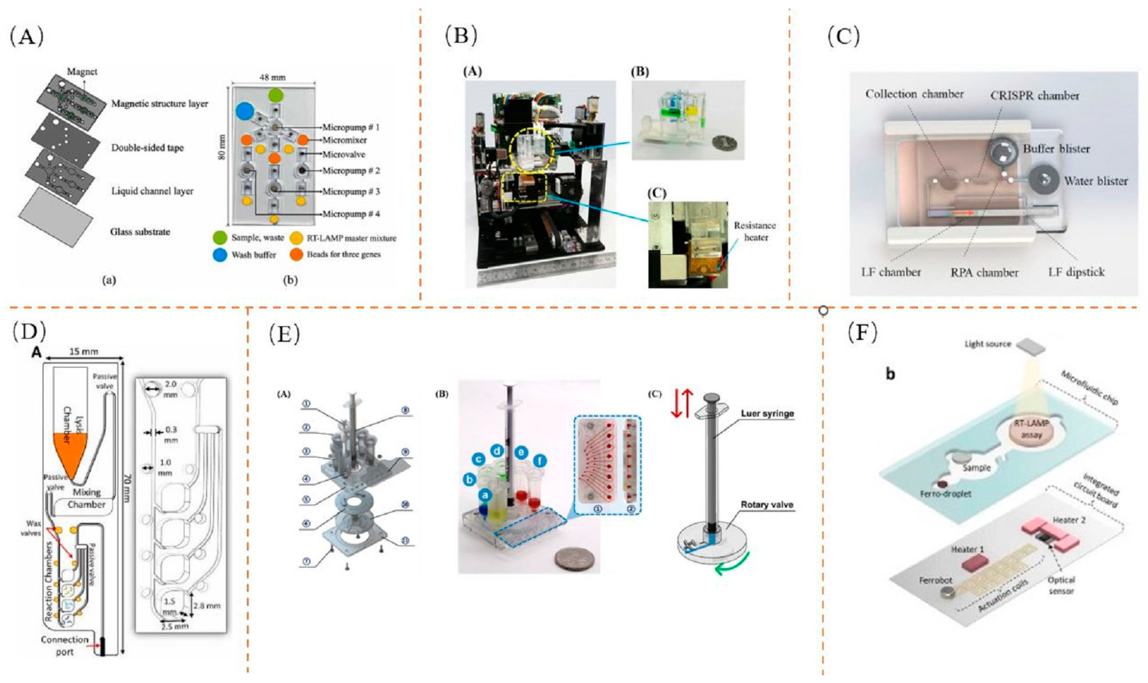 Biosensors 13 00732 g004