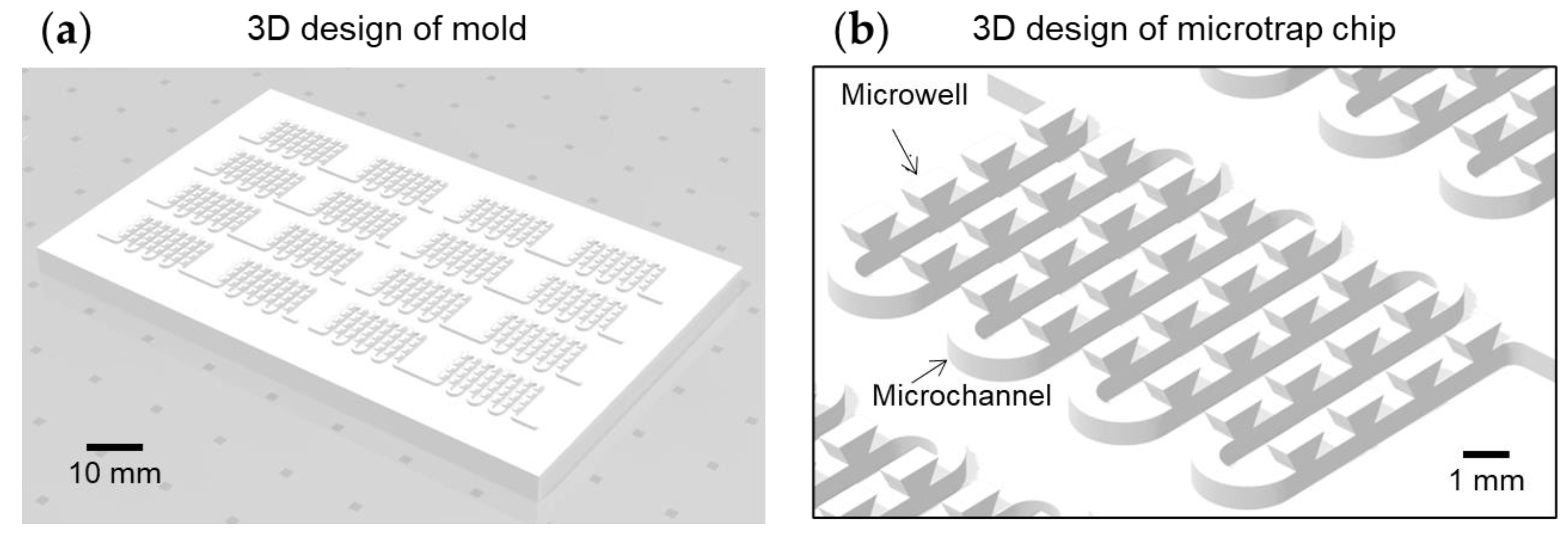 Biosensors 13 00733 g001