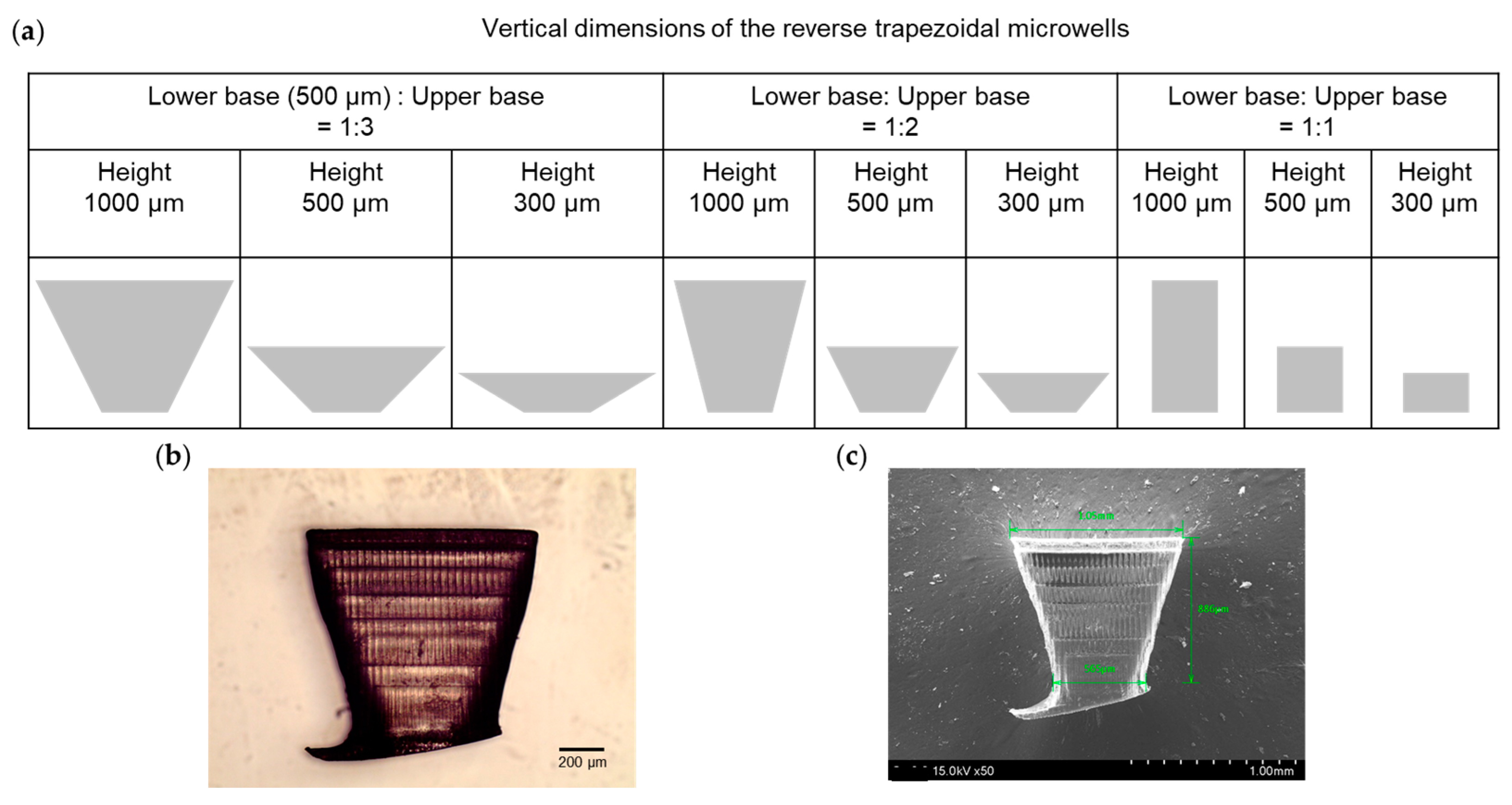 Biosensors 13 00733 g003