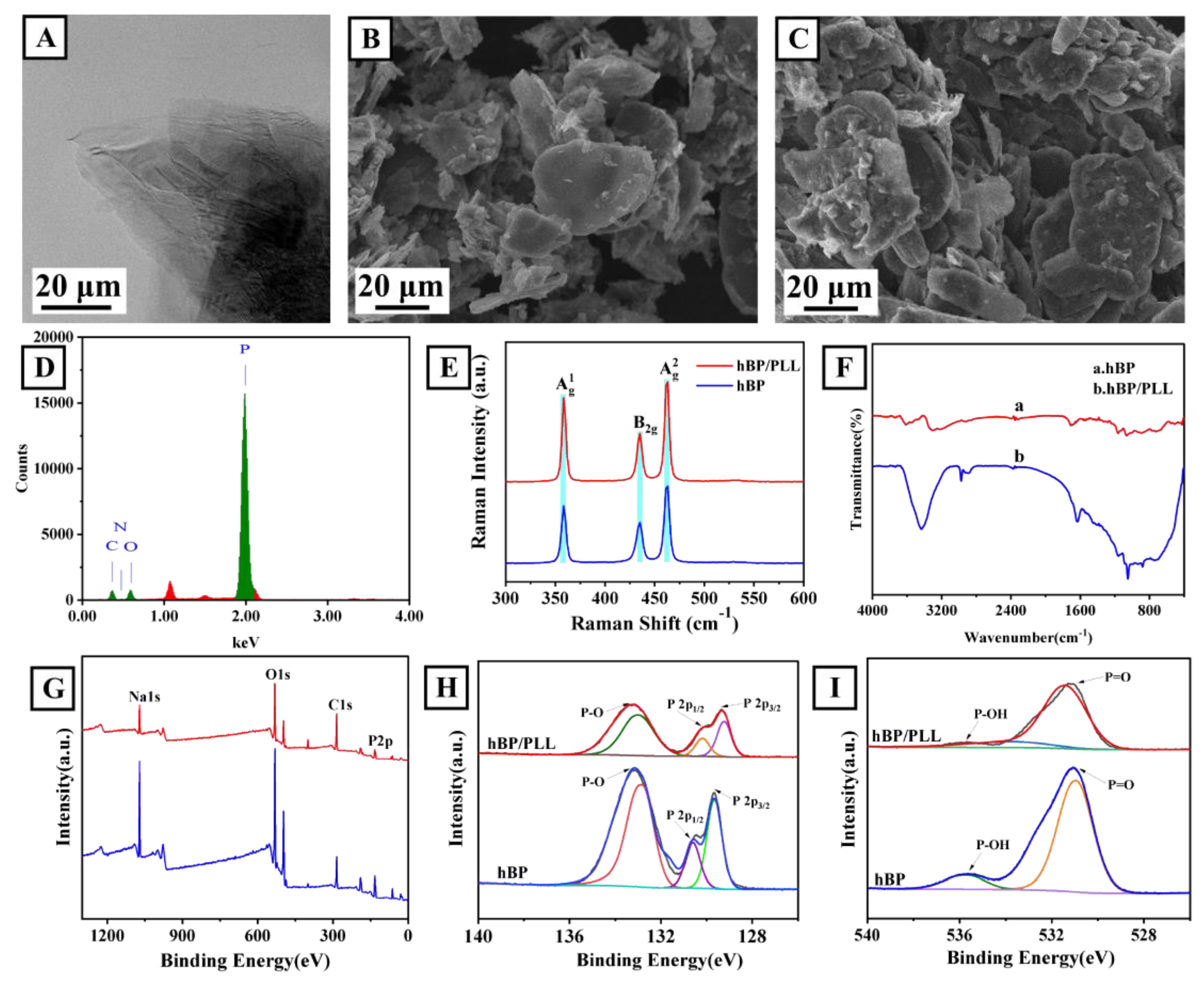 Biosensors 13 00735 g001
