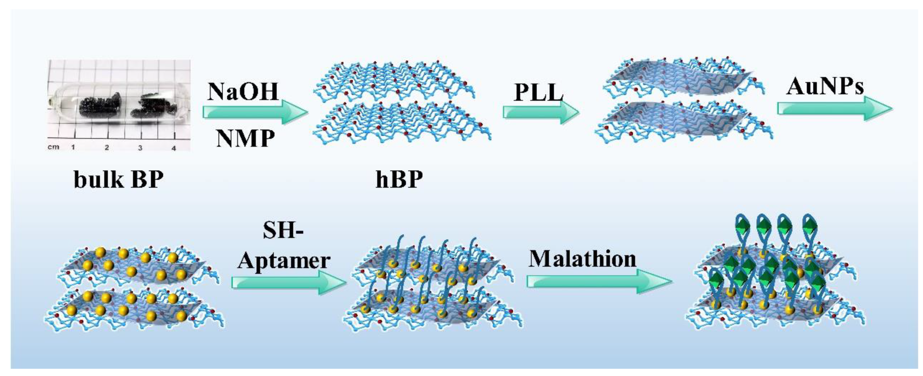 Biosensors 13 00735 sch001