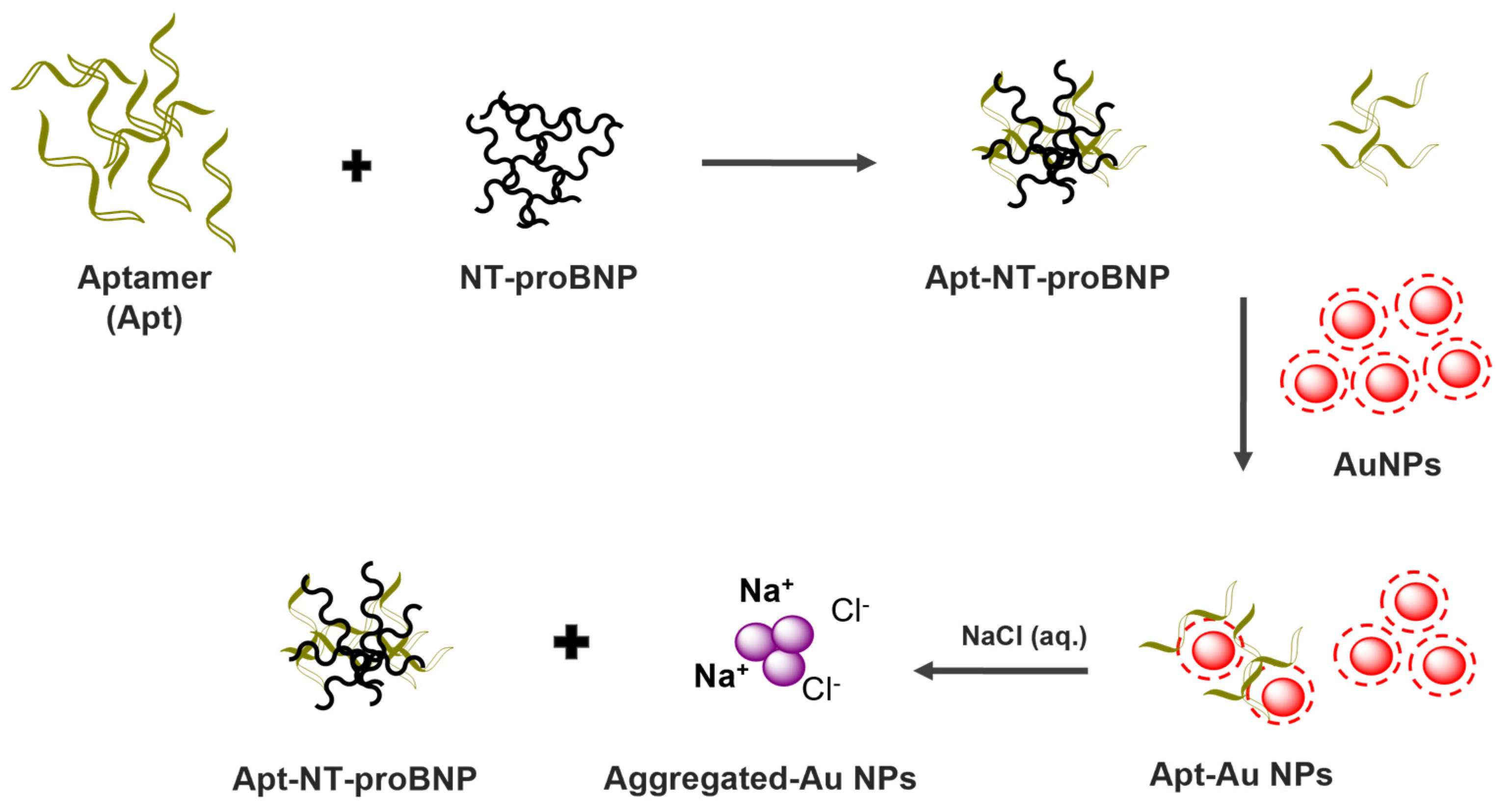 Biosensors 13 00736 g002 Biosensors 13 00736 g002