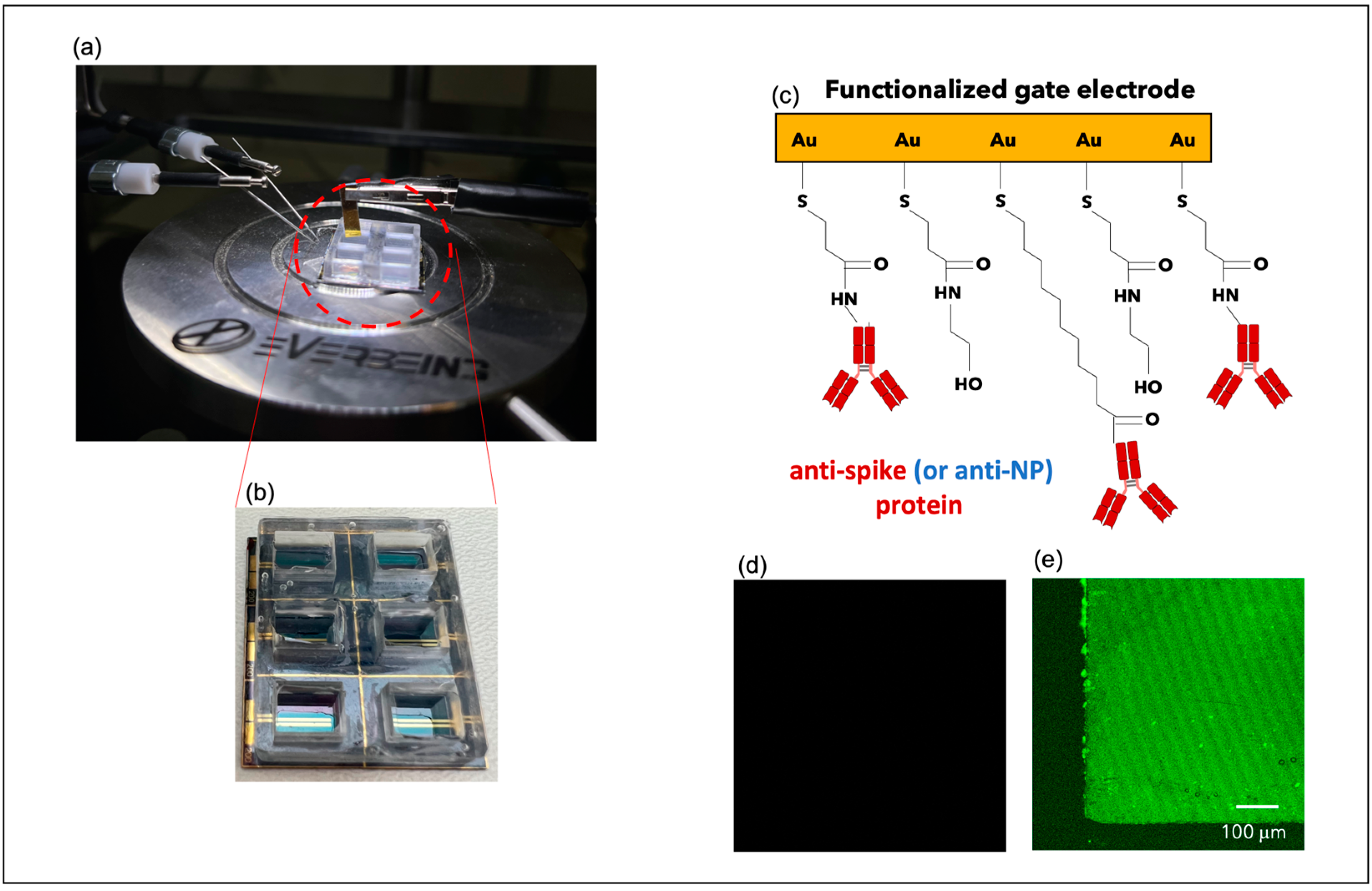 Biosensors 13 00739 g001