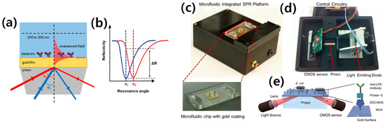 Biosensors 13 00741 g001