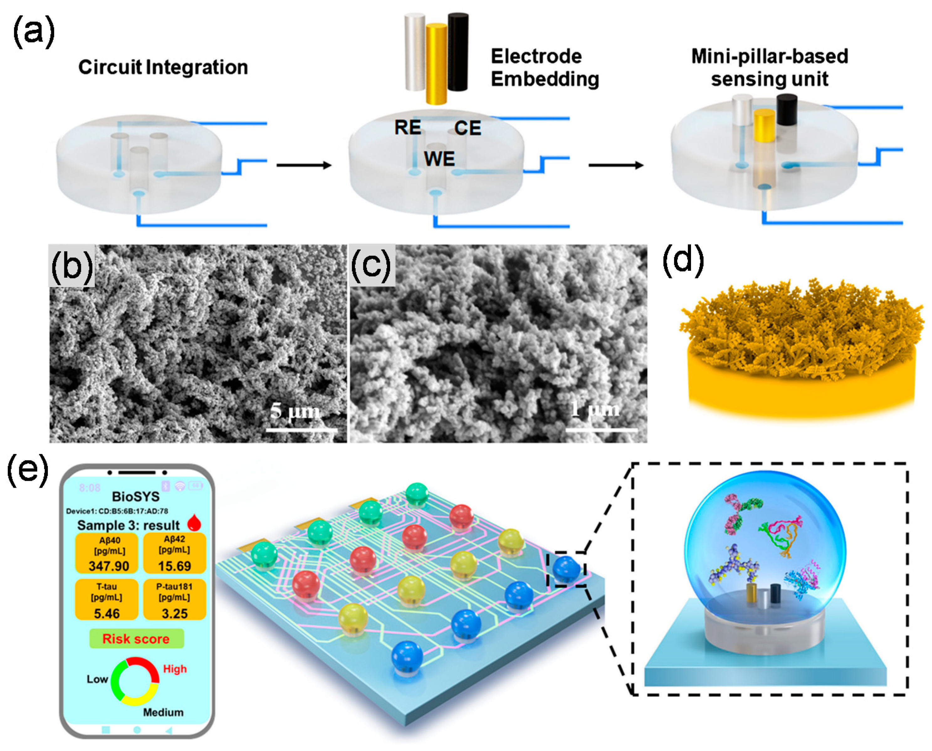 Biosensors 13 00742 g003