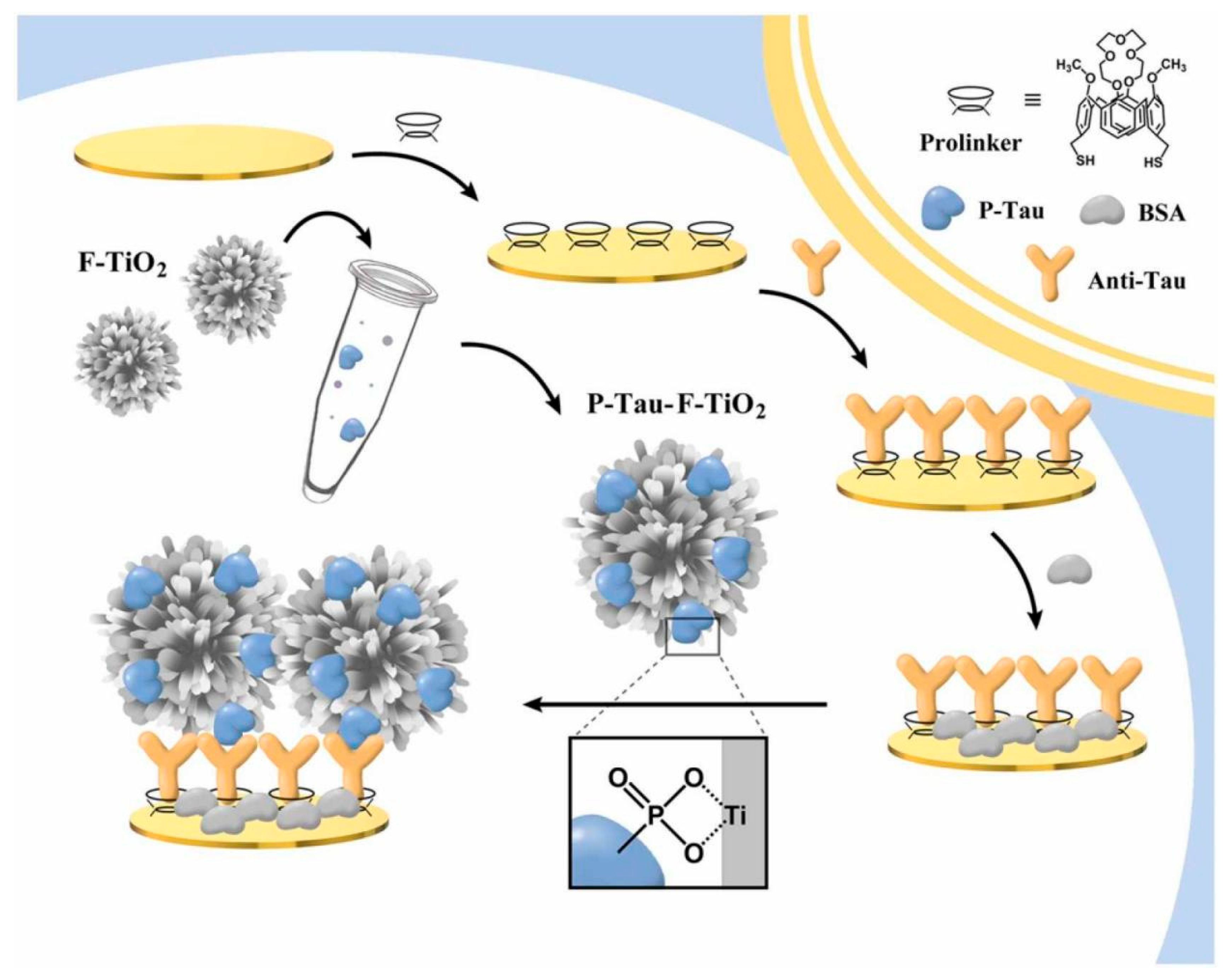 Biosensors 13 00742 g005