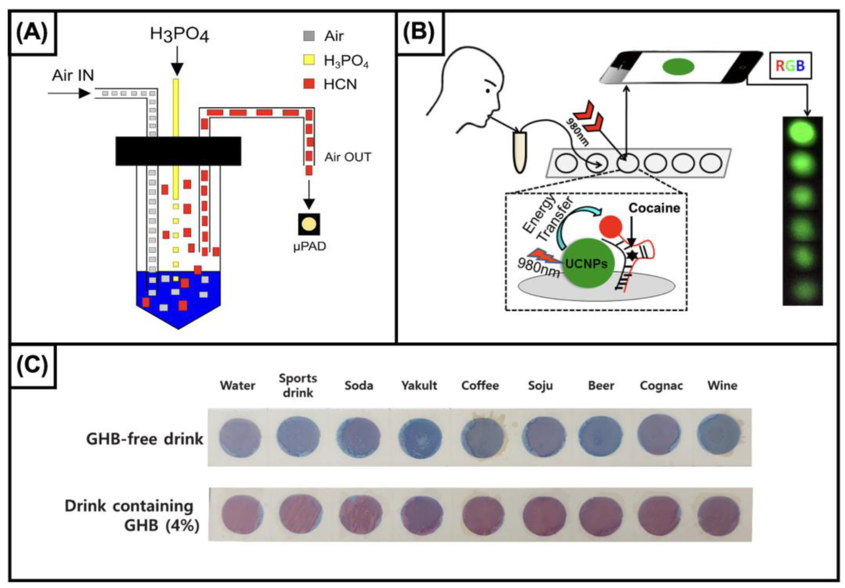 Biosensors 13 00743 g001
