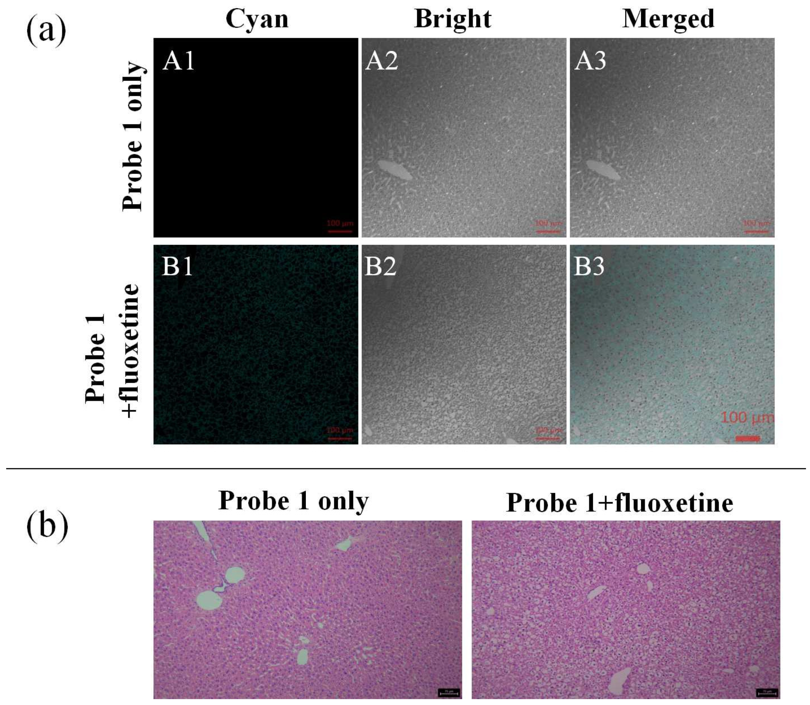 Biosensors 13 00744 g004