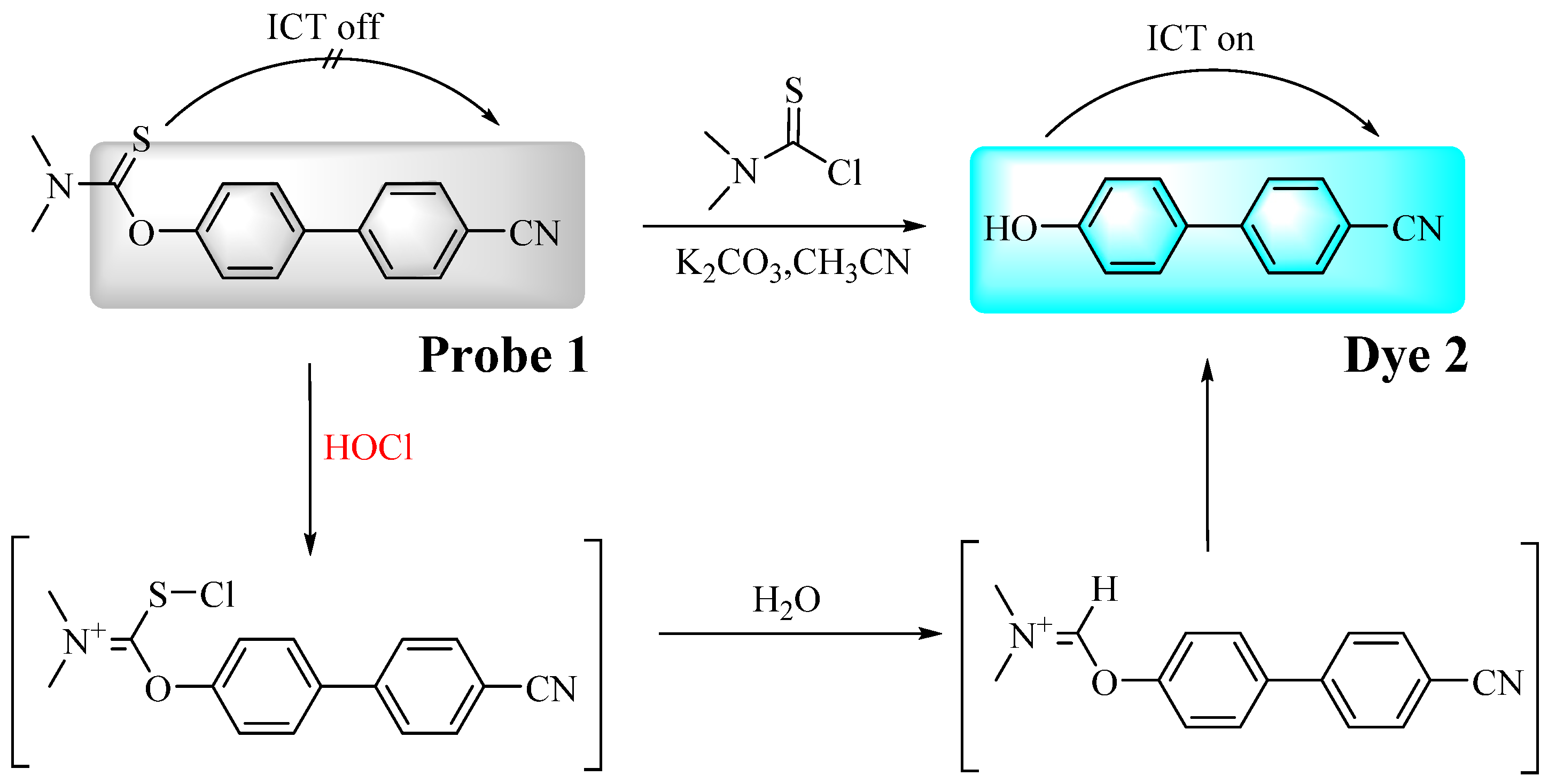 Biosensors 13 00744 sch001