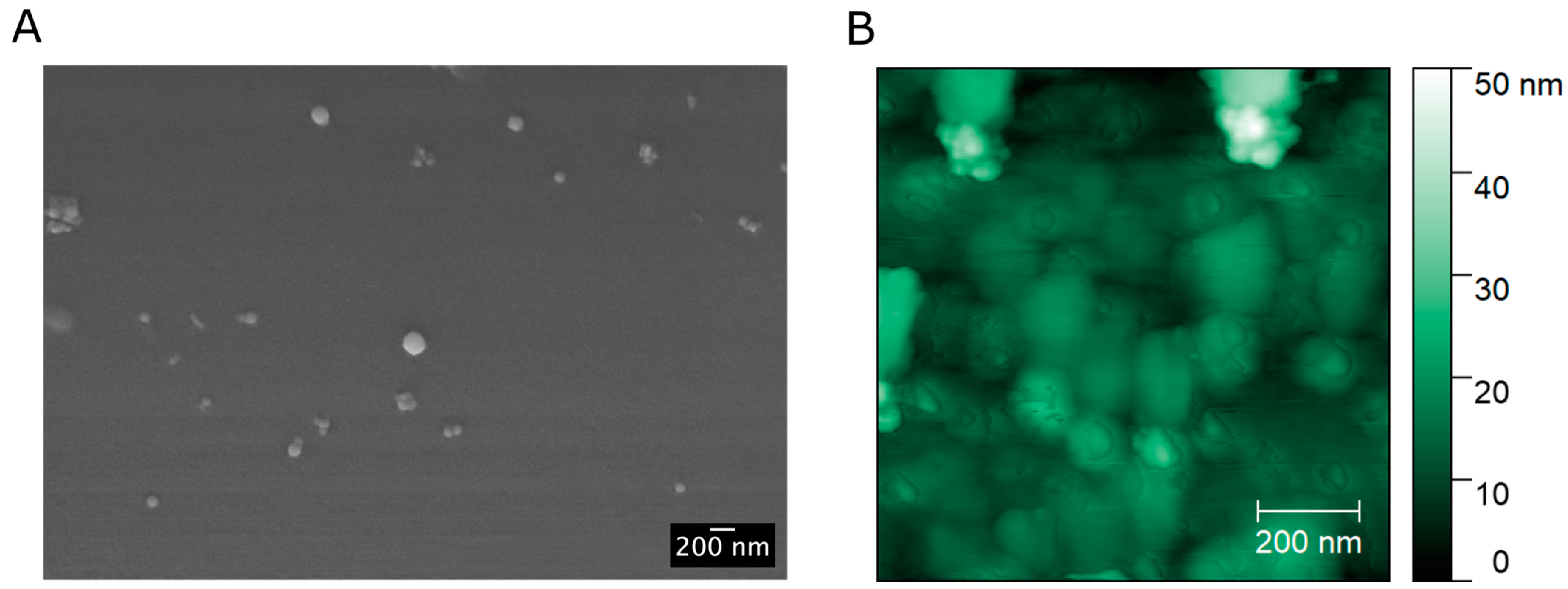 Biosensors 13 00745 g003