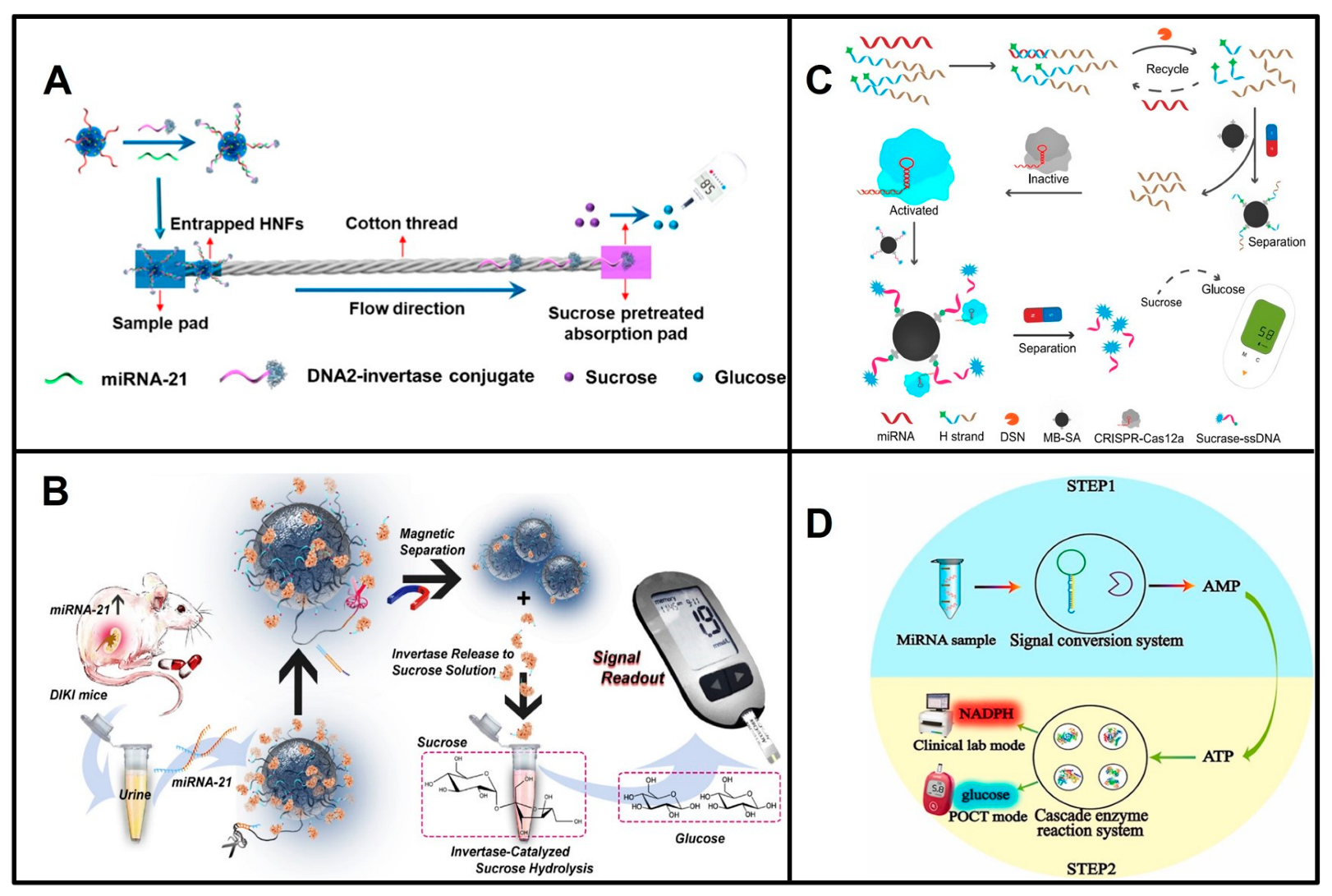 Biosensors 13 00747 g001