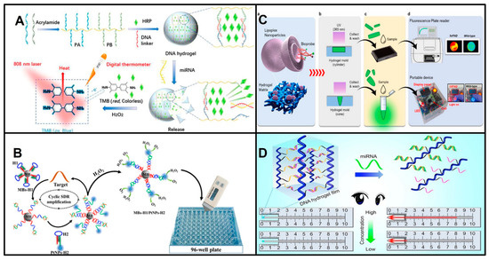Biosensors 13 00747 g002