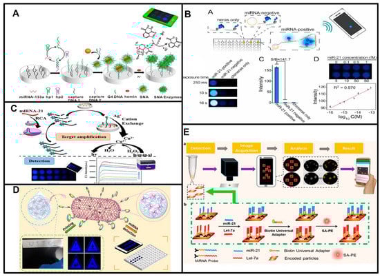 Biosensors 13 00747 g003