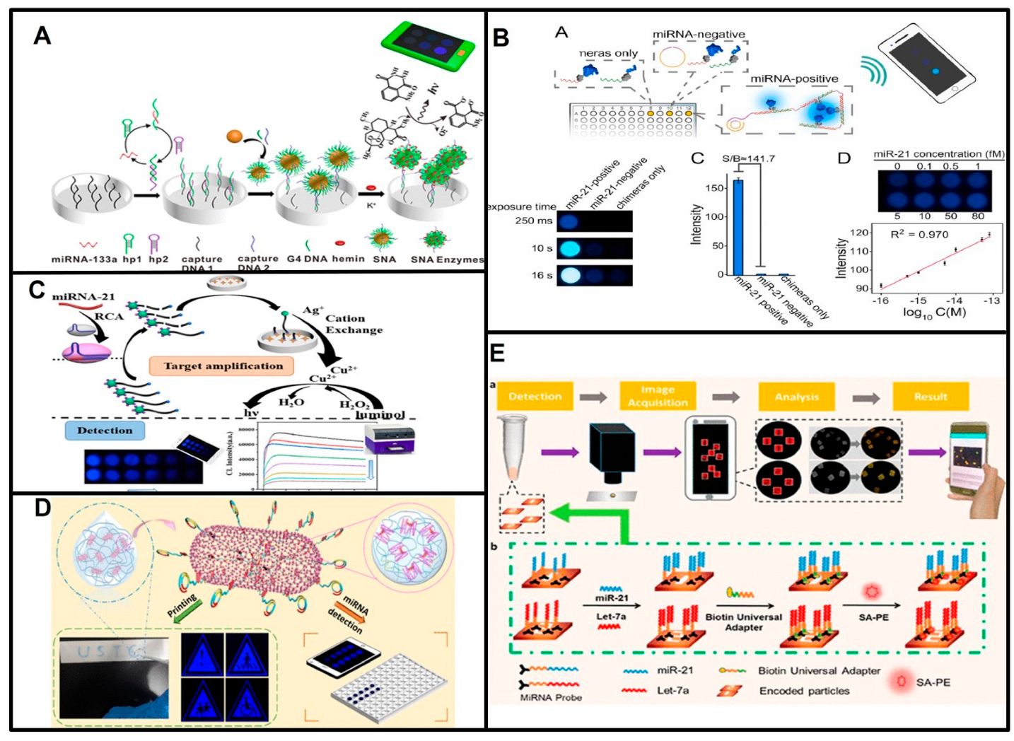 Biosensors 13 00747 g003