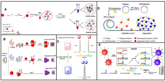 Biosensors 13 00747 g004
