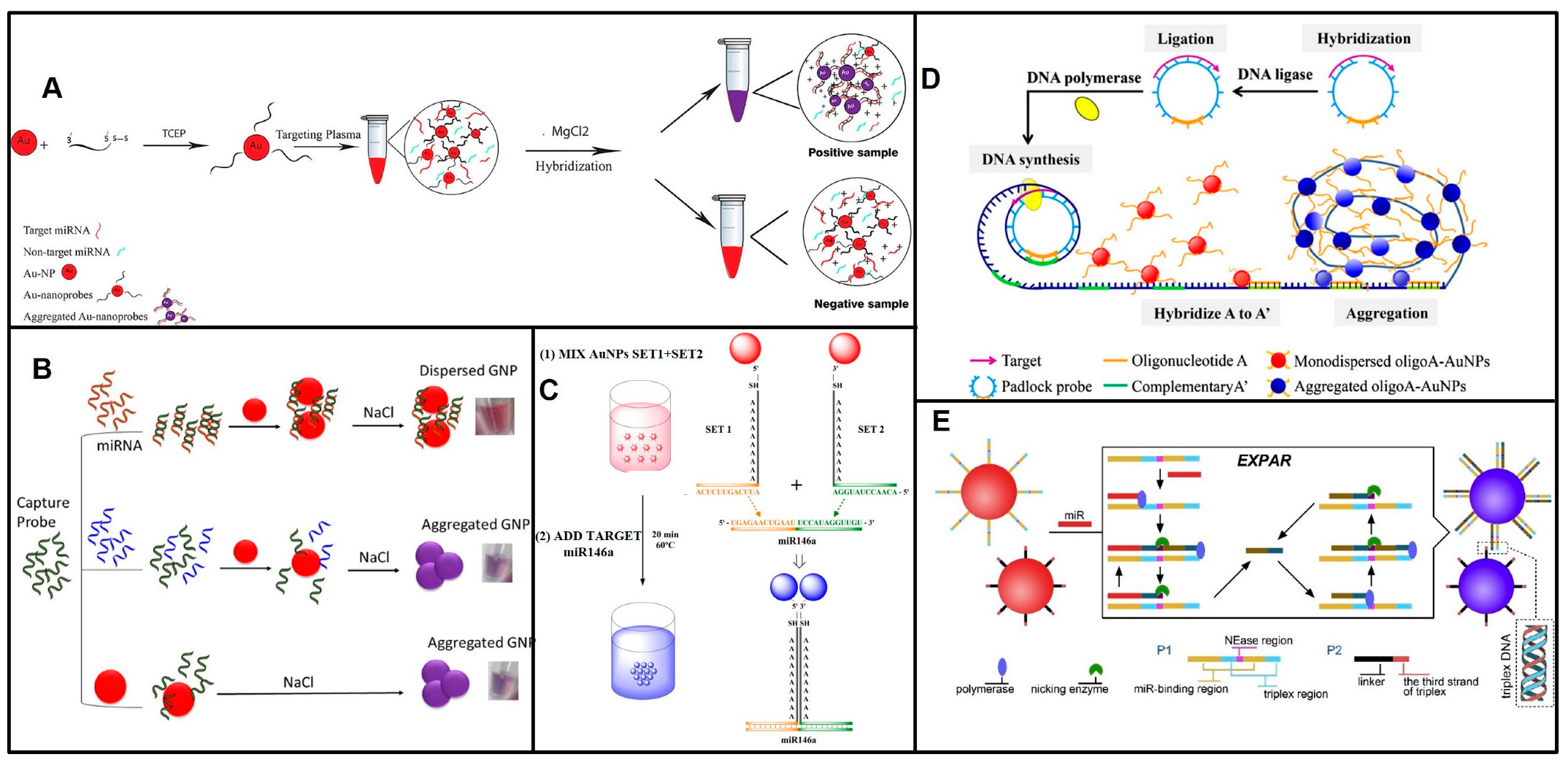 Biosensors 13 00747 g004