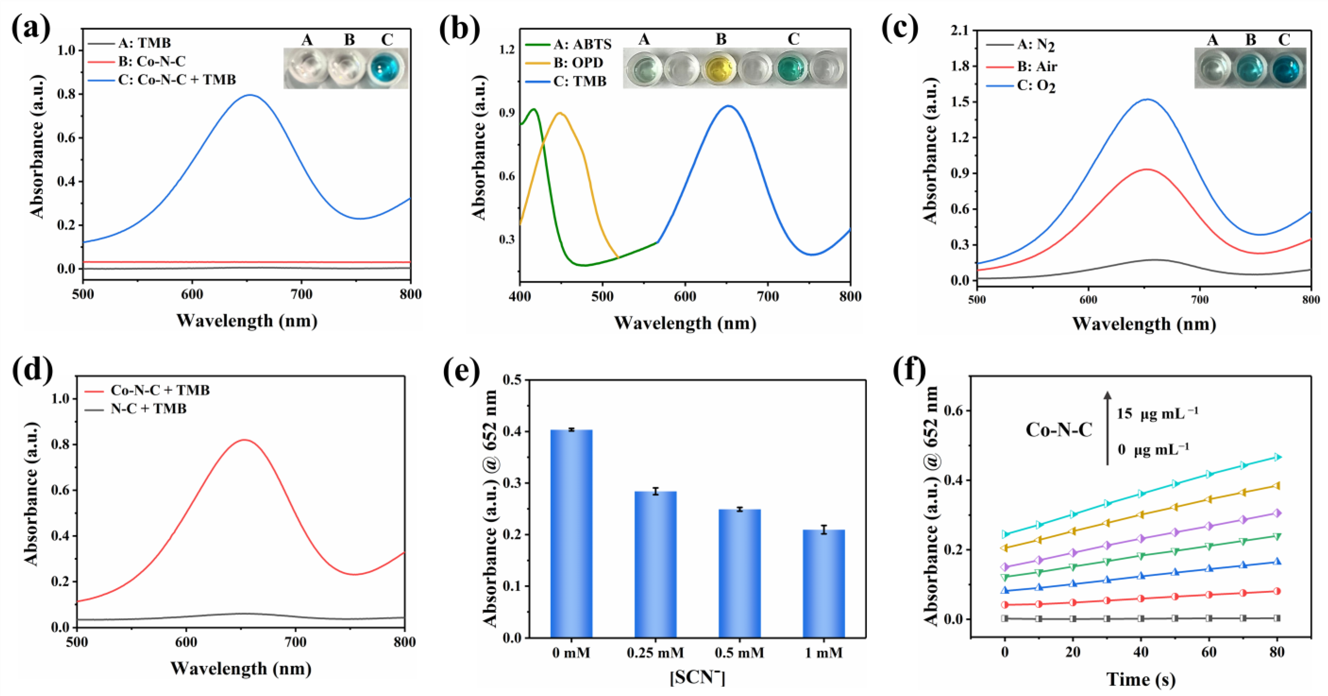 Biosensors 13 00748 g003