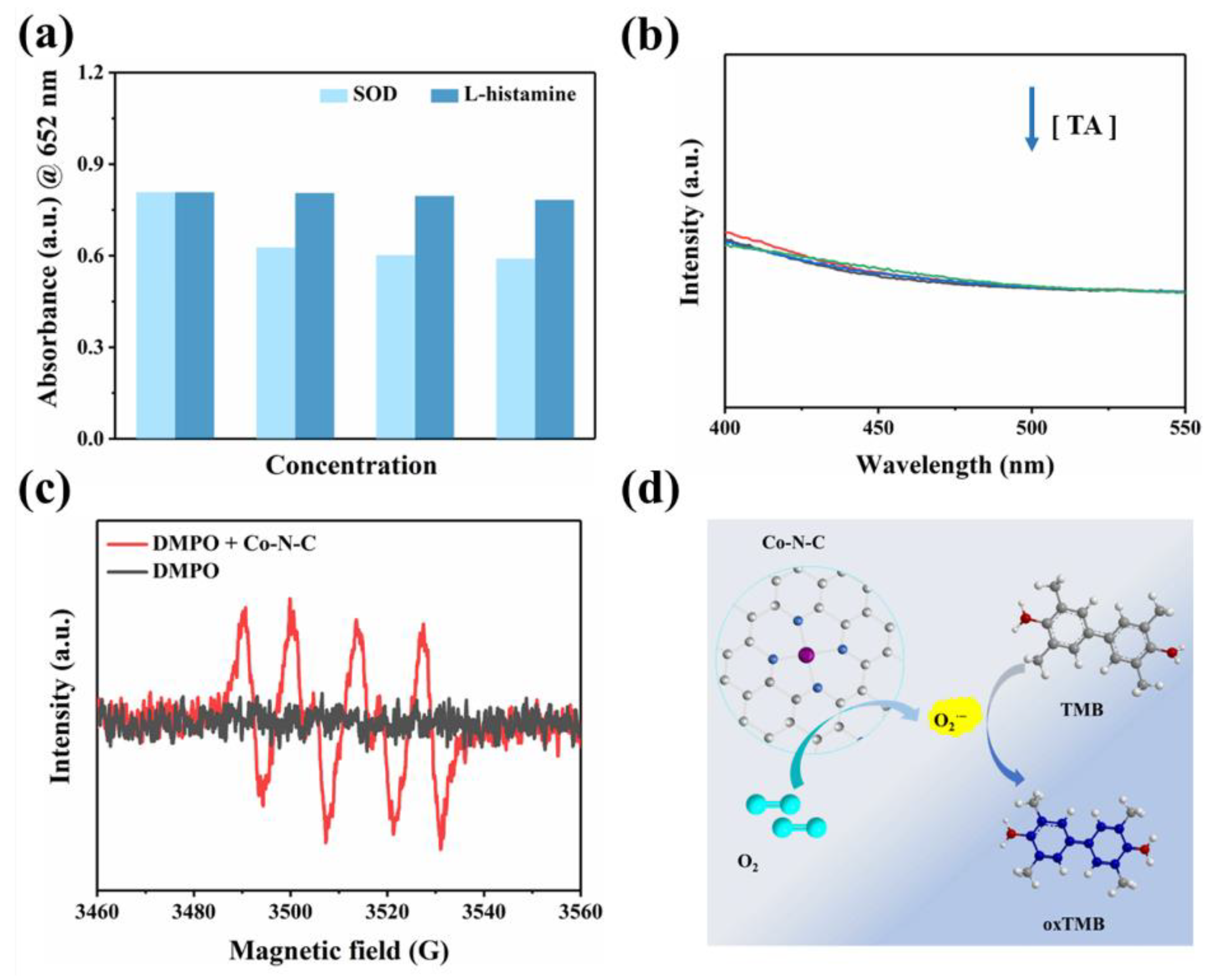 Biosensors 13 00748 g004