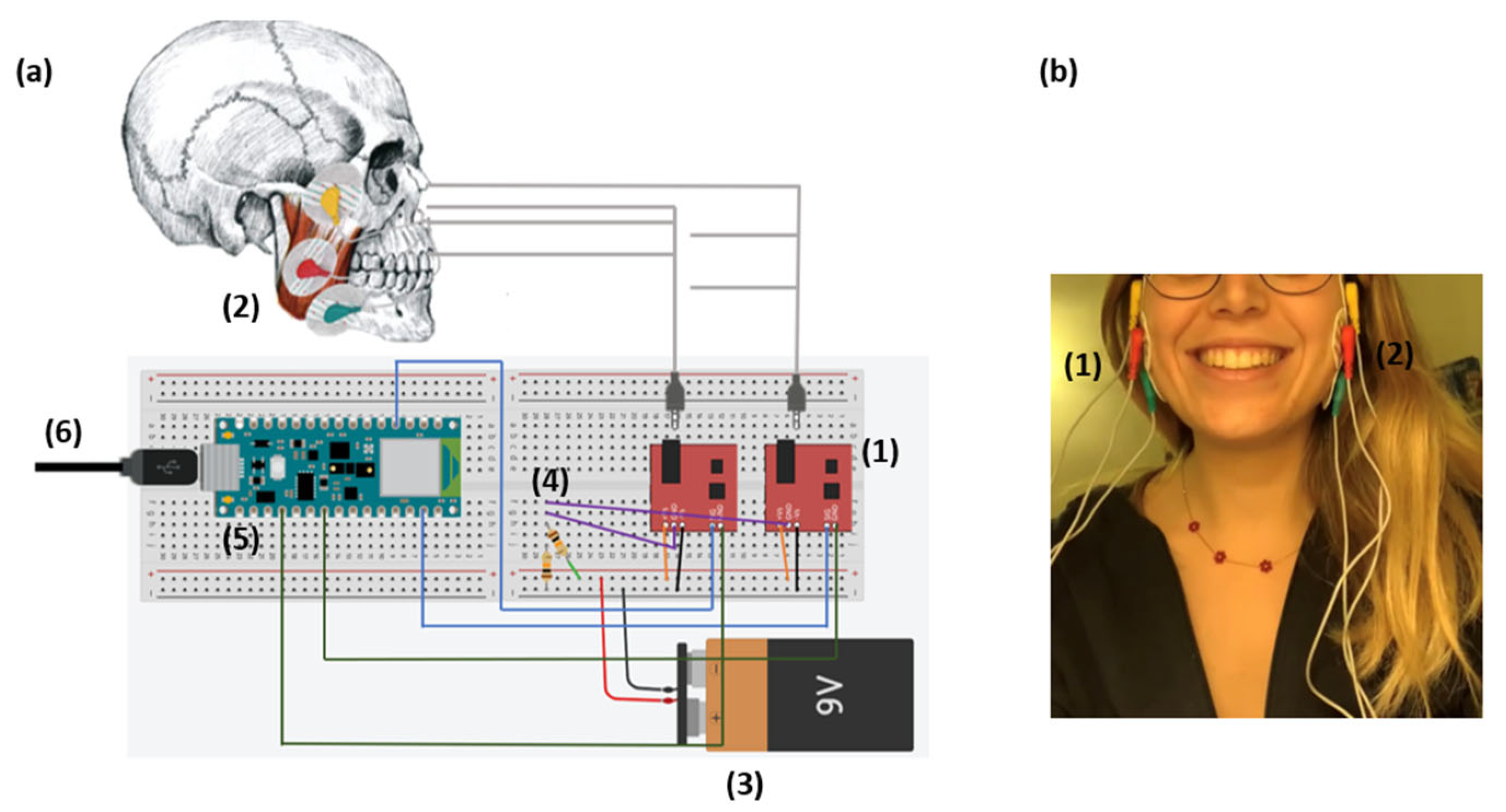Biosensors 13 00749 g001