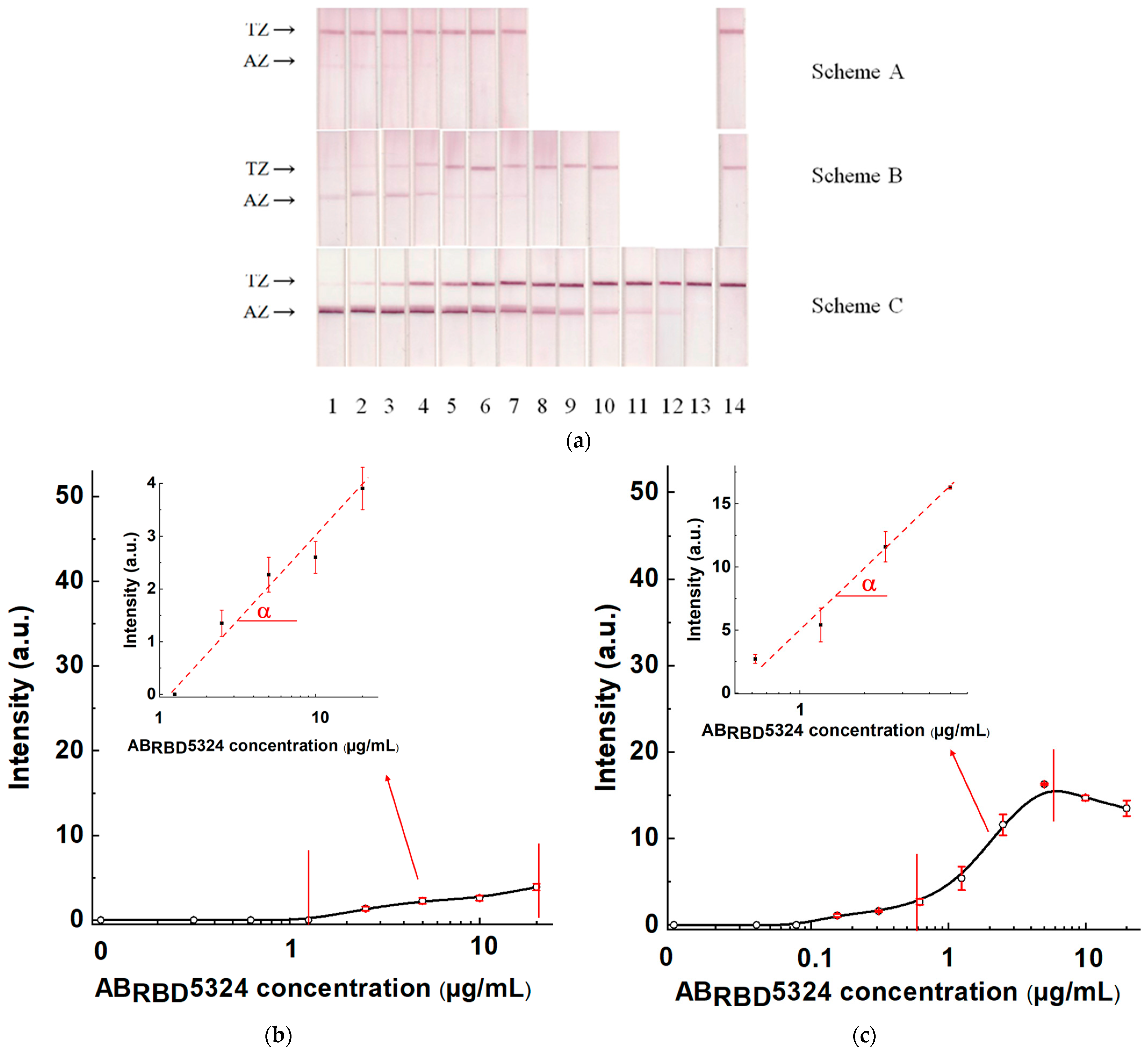 Biosensors 13 00750 g007a