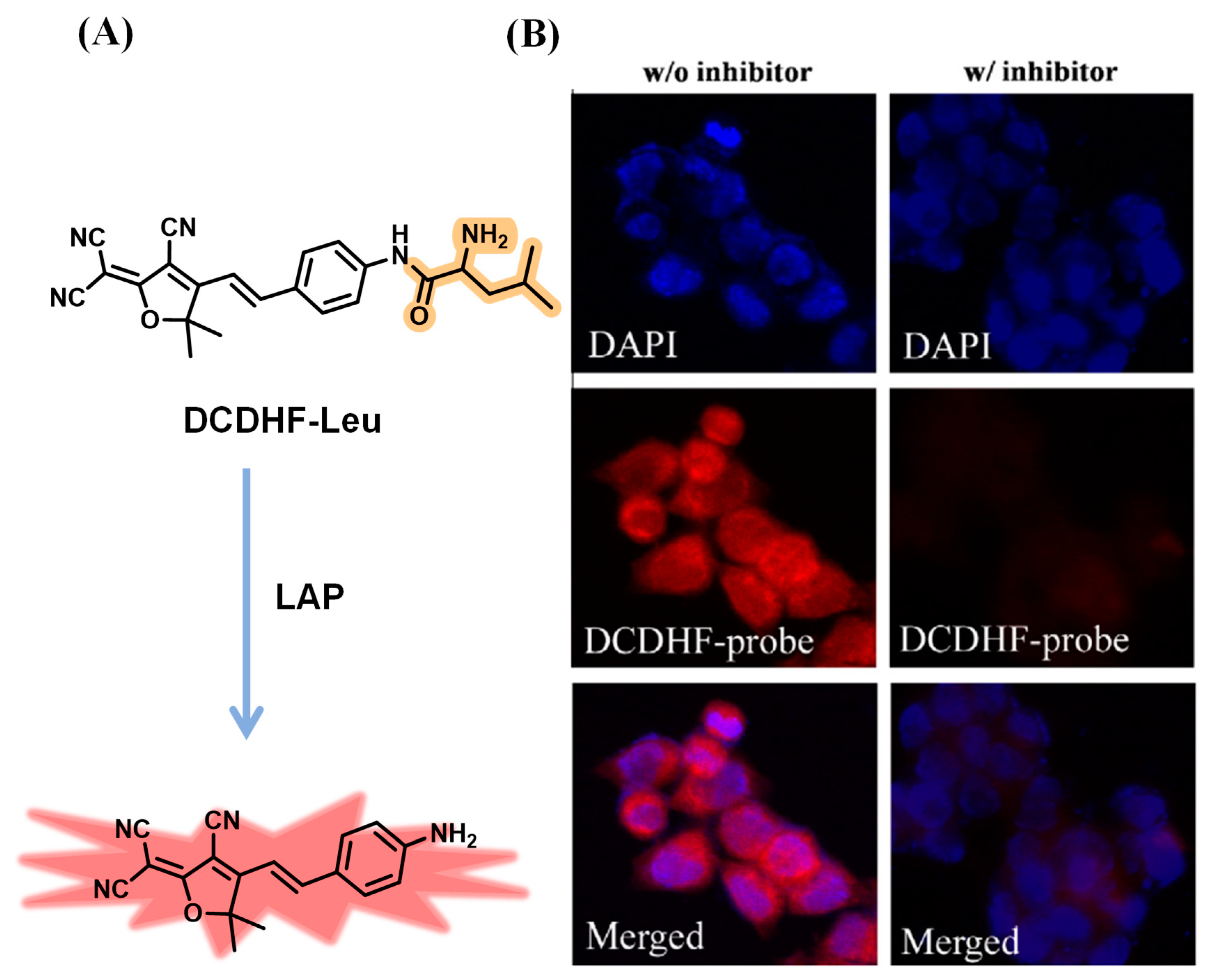 Biosensors 13 00752 g001