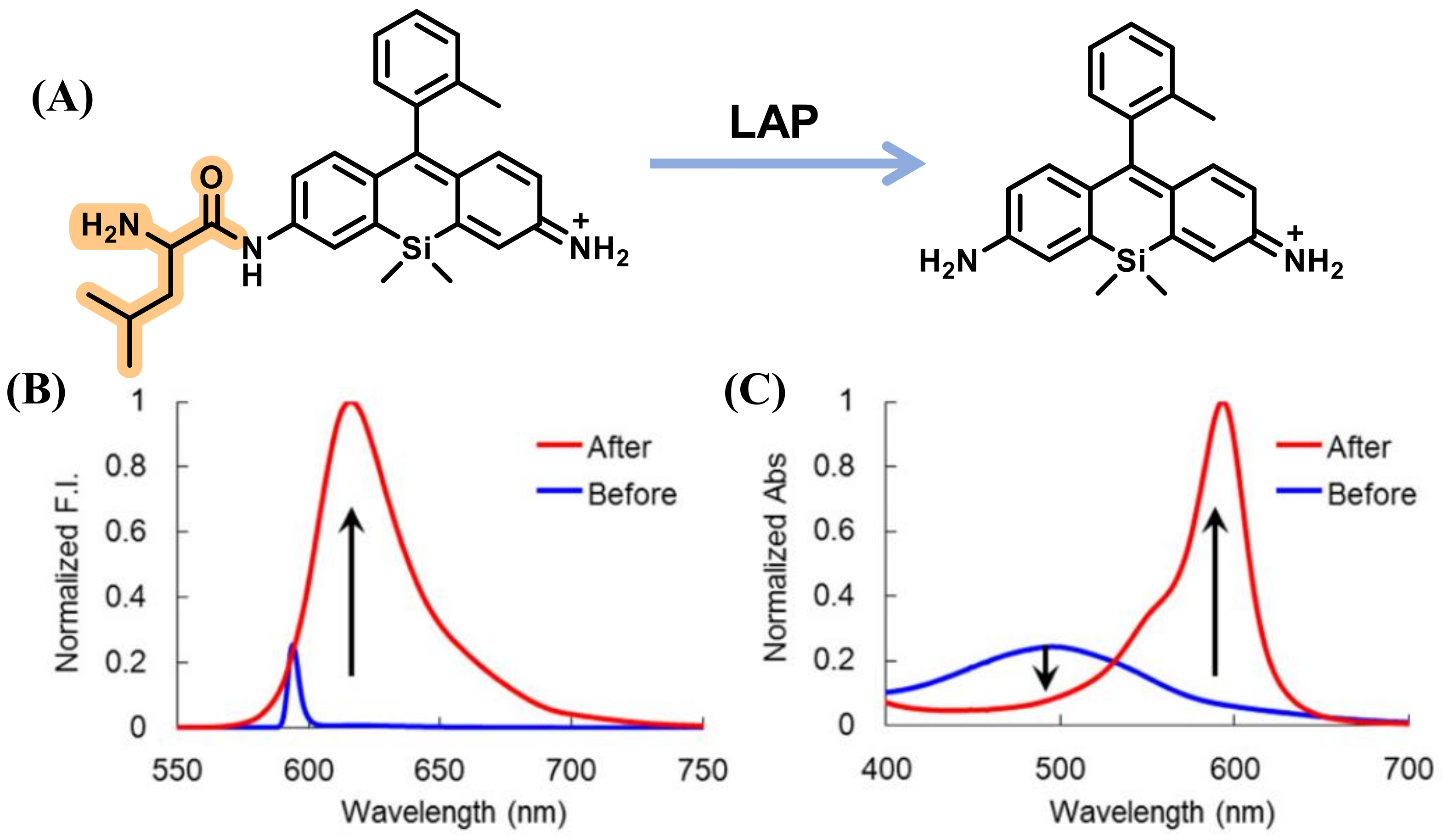 Biosensors 13 00752 g004