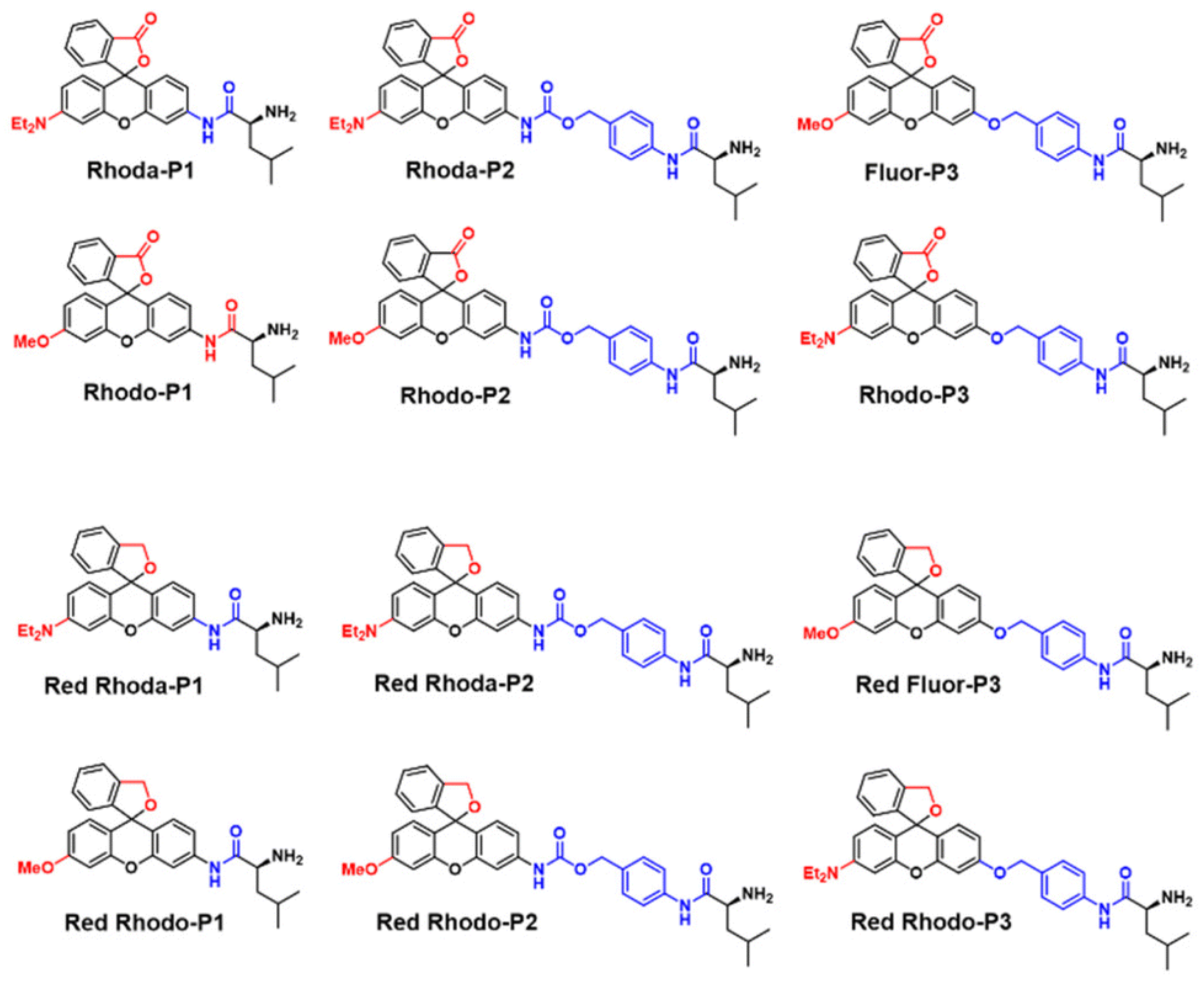 Biosensors 13 00752 g006