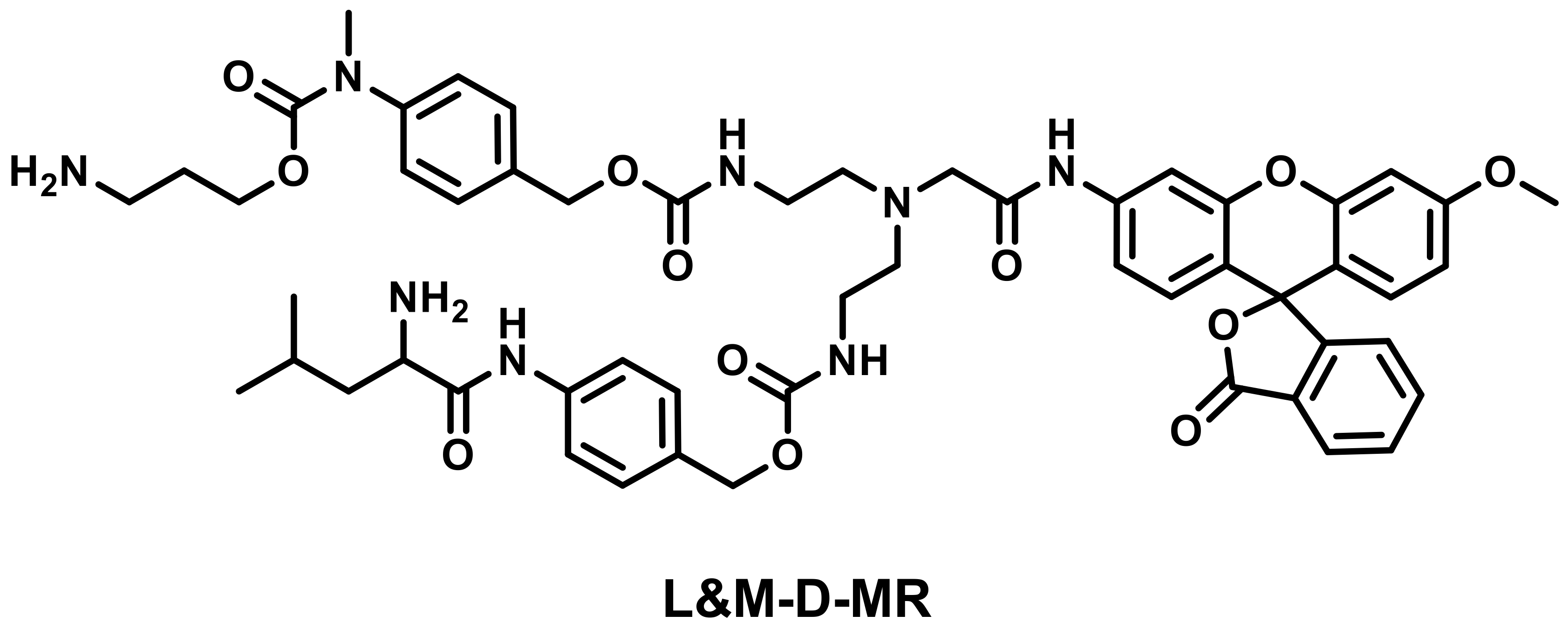 Biosensors 13 00752 g011