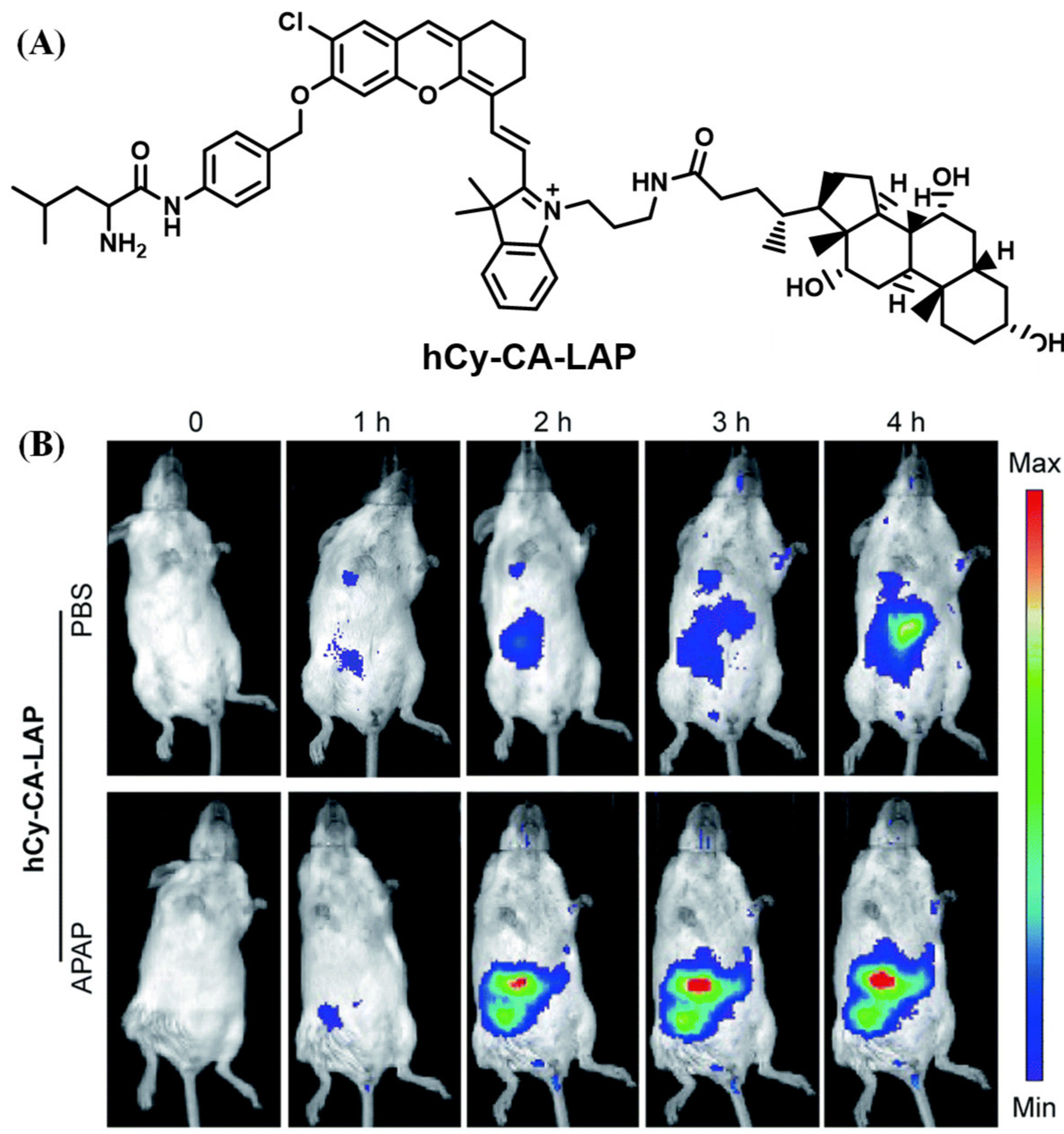 Biosensors 13 00752 g015