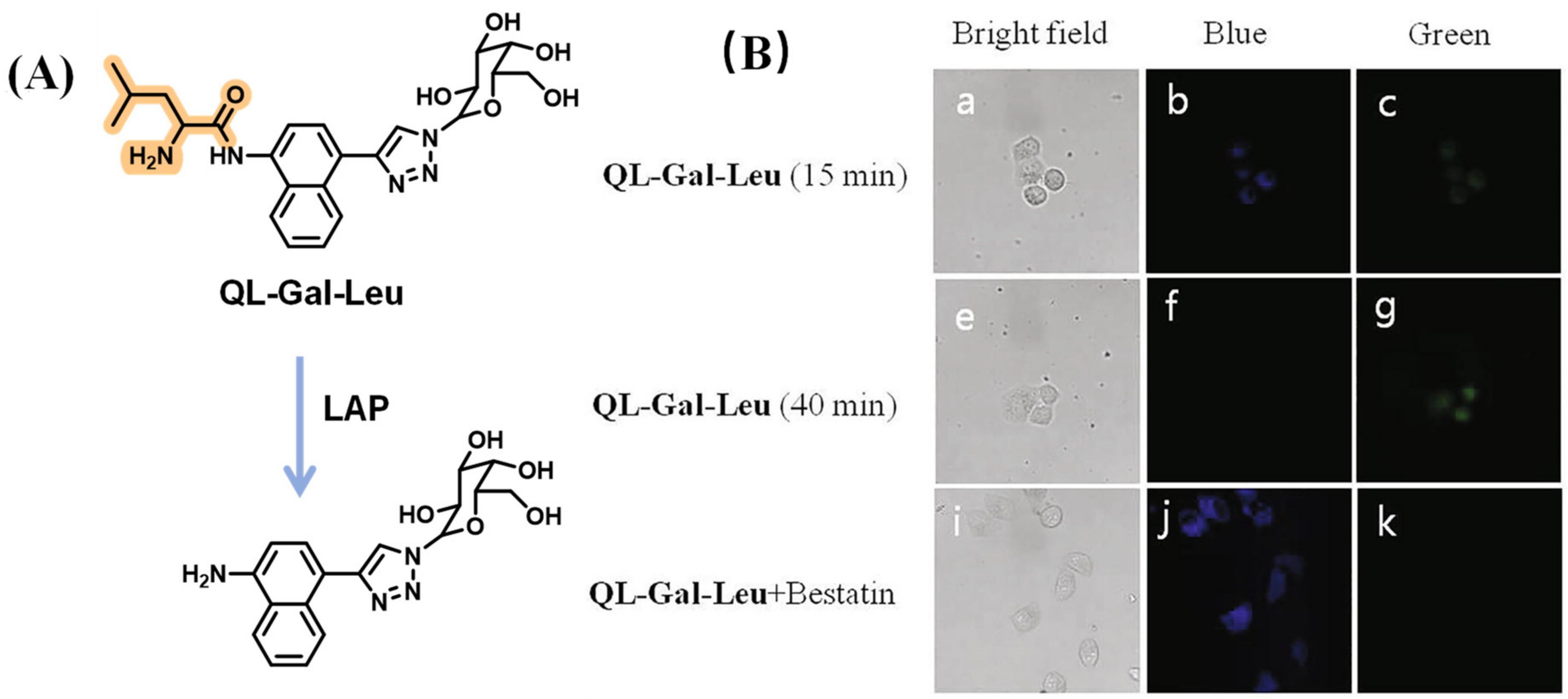 Biosensors 13 00752 g016