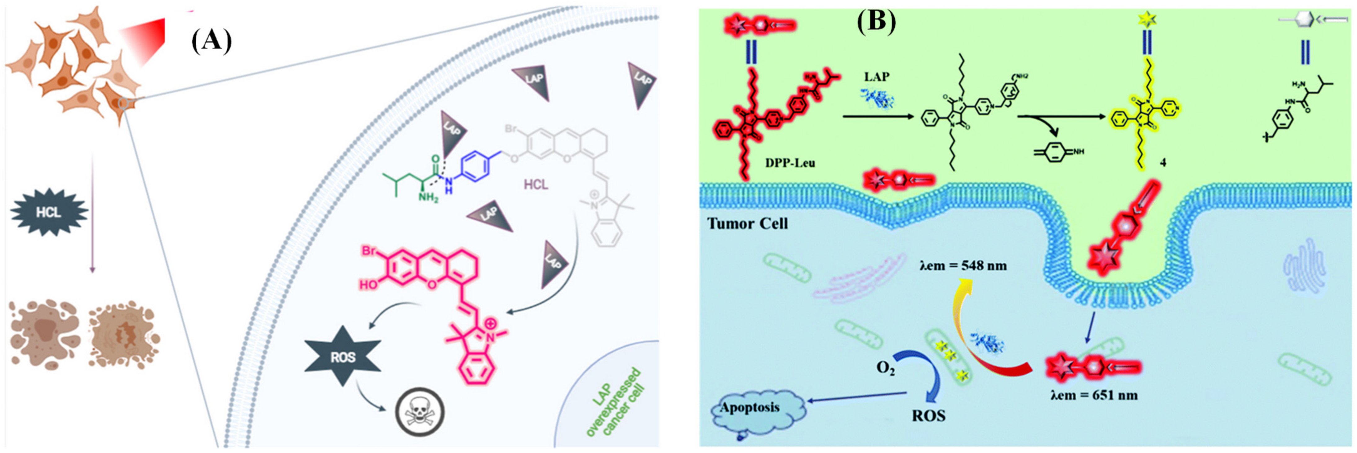 Biosensors 13 00752 g017