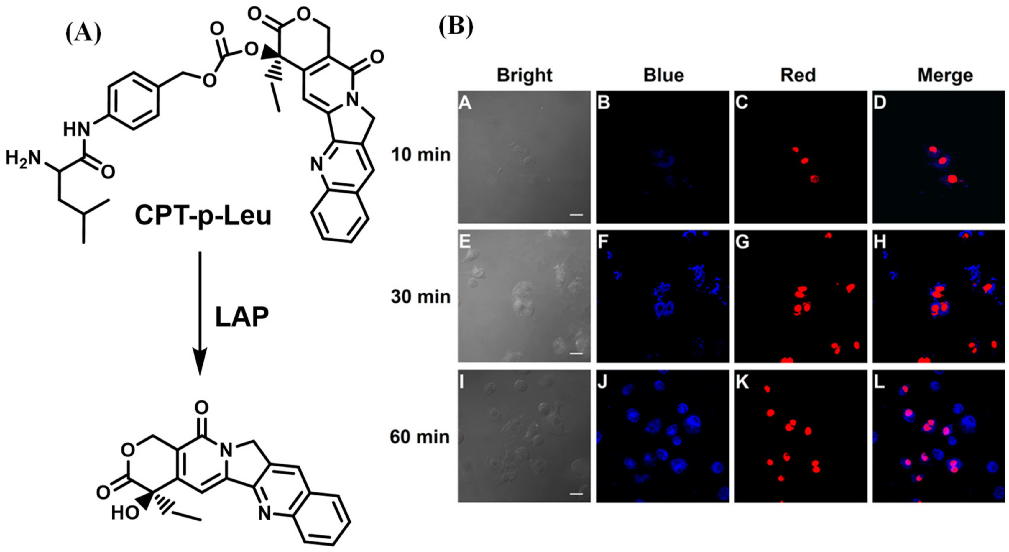Biosensors 13 00752 g018