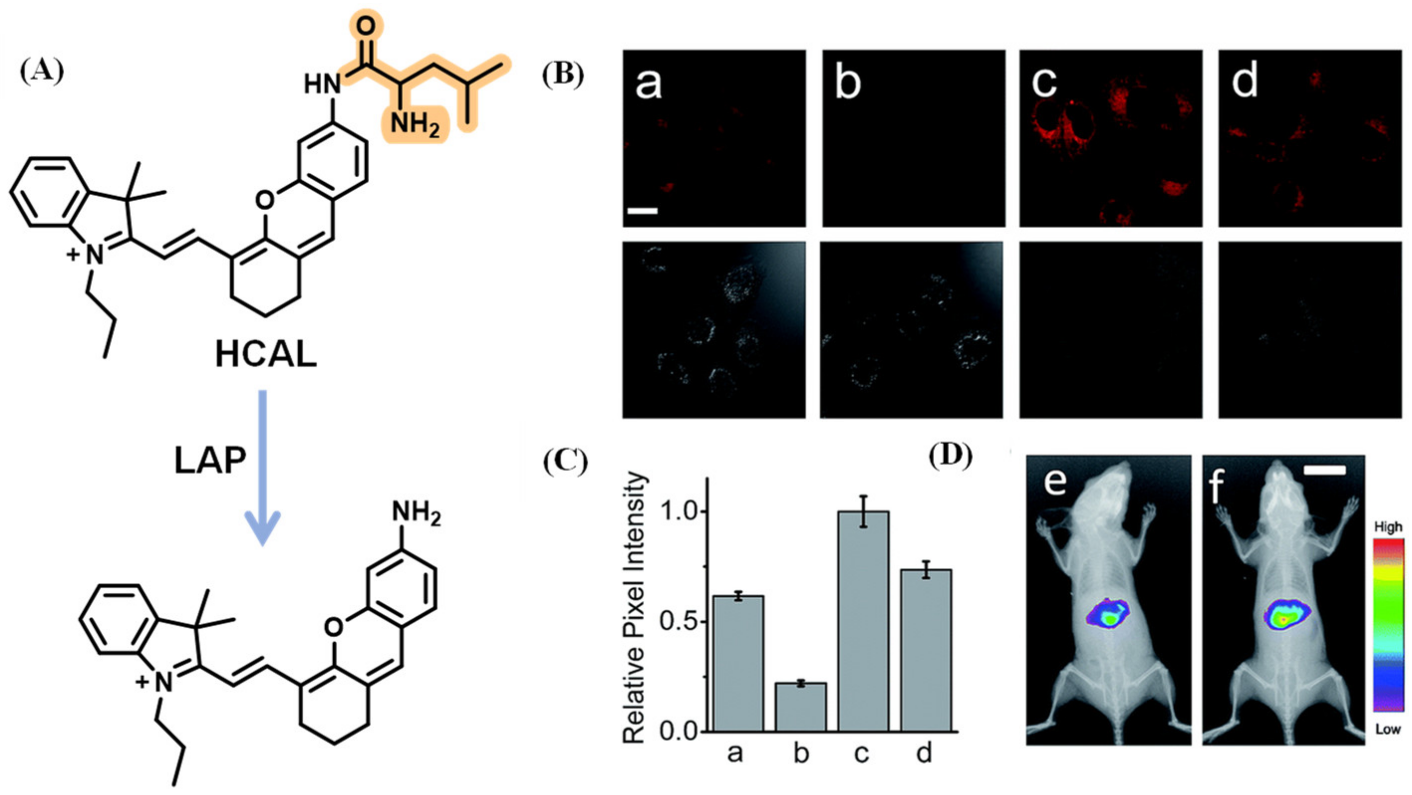 Biosensors 13 00752 g019