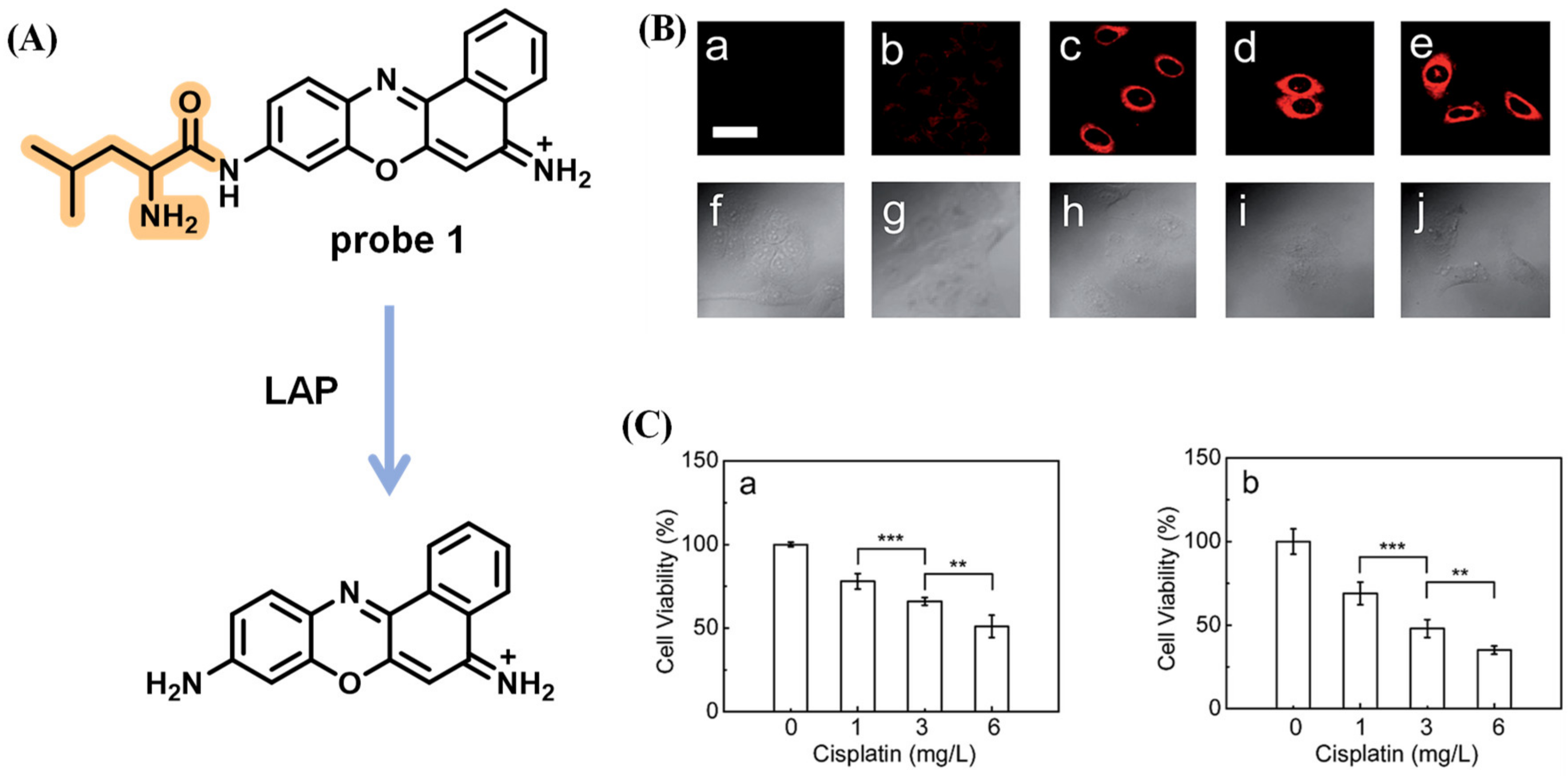 Biosensors 13 00752 g027