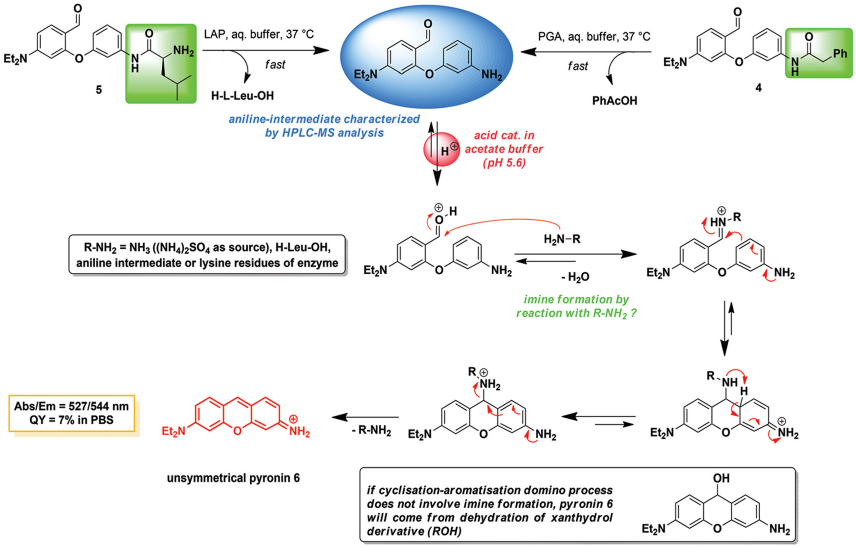 Biosensors 13 00752 g028