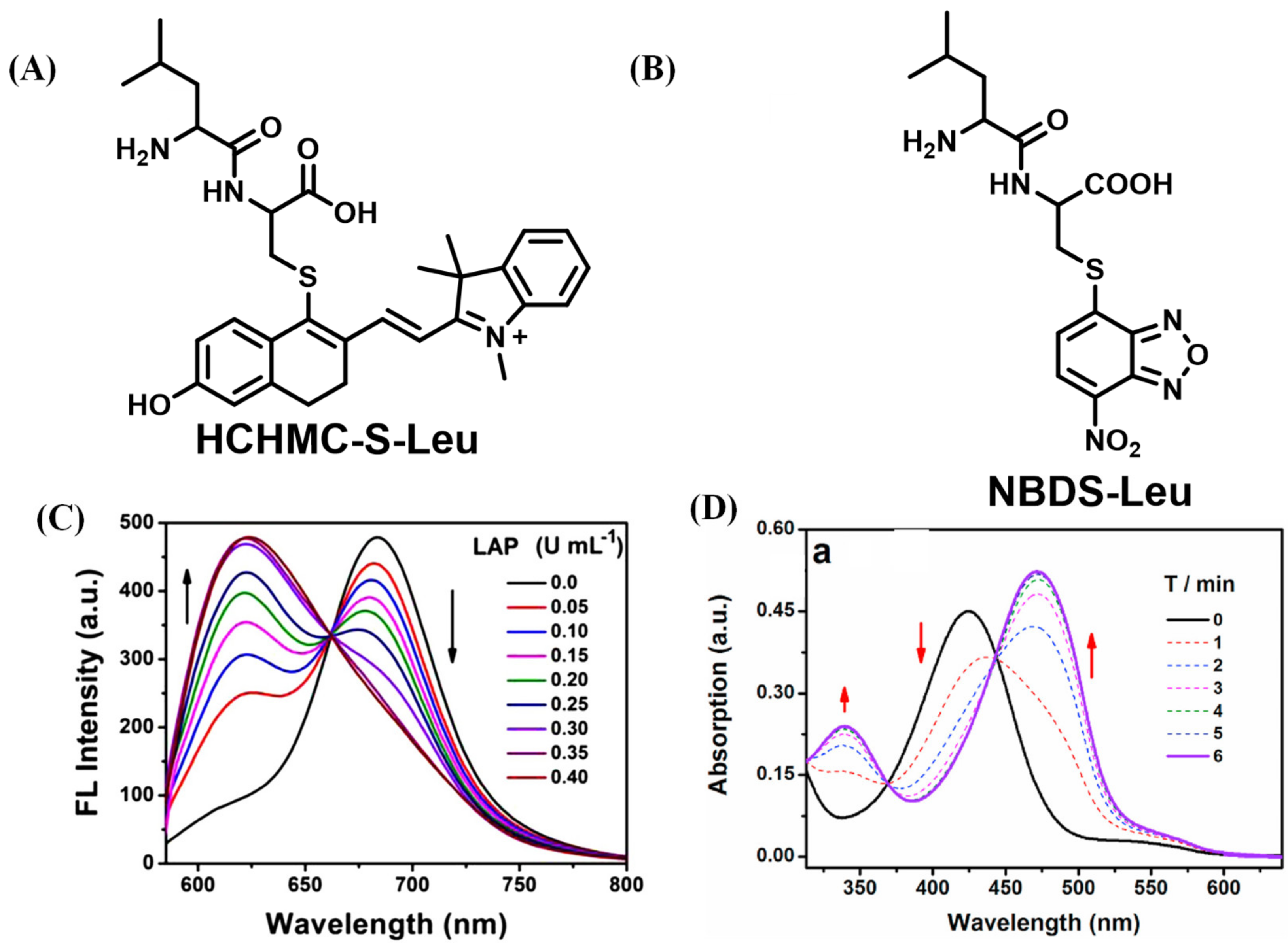 Biosensors 13 00752 g032