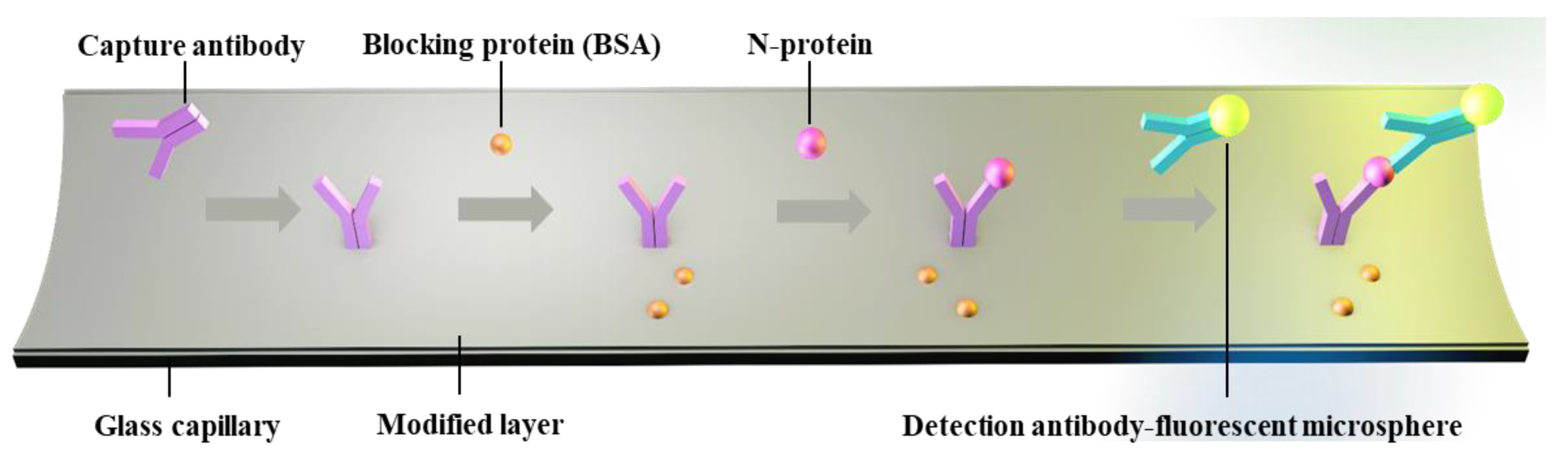 Biosensors 13 00753 g005