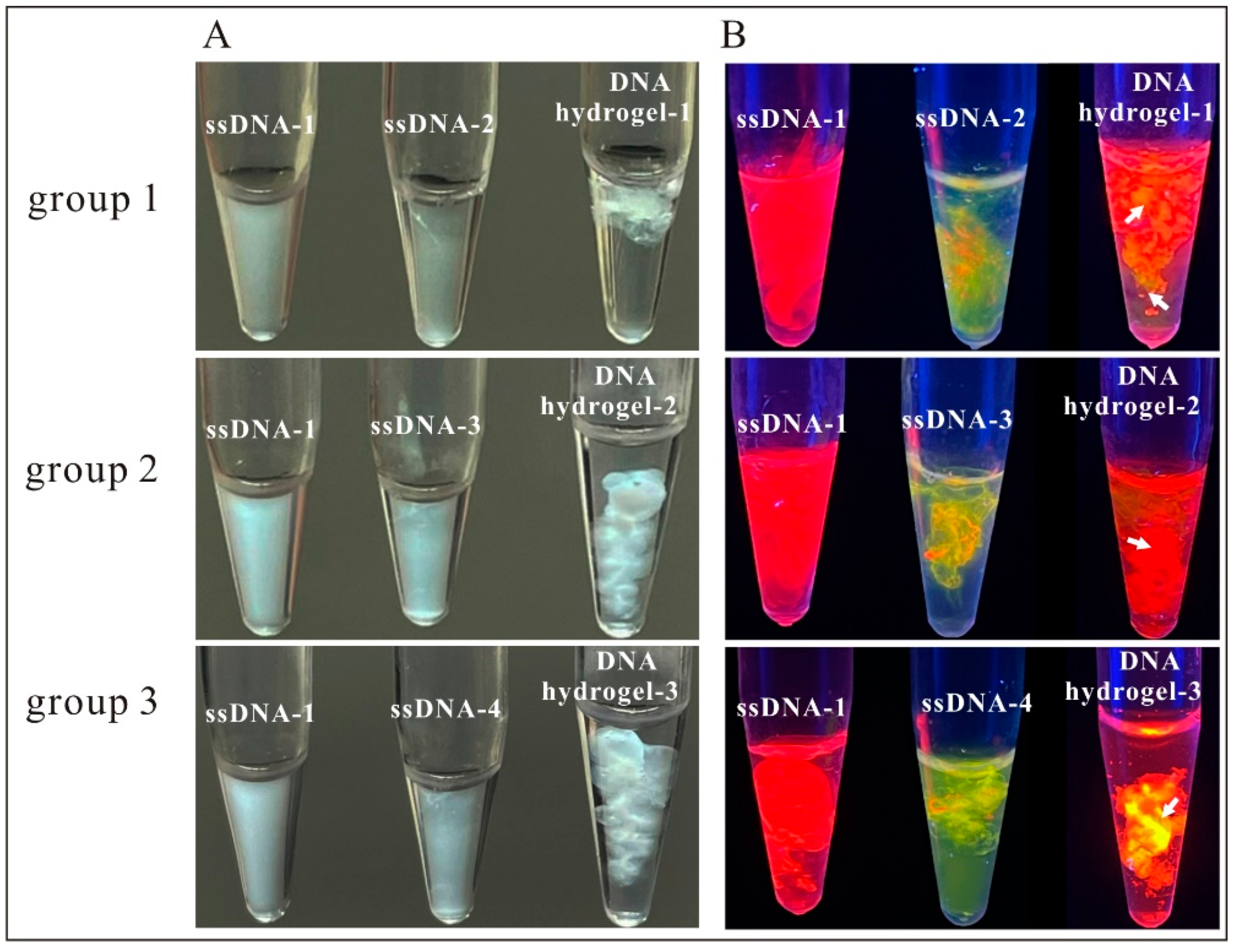 Biosensors 13 00755 g002